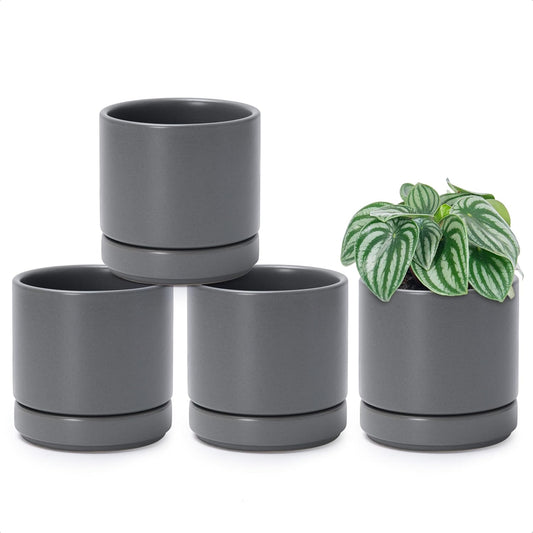 D'vine Dev Set of 4 Small Ceramic Plant Pots, 4.7 Inch Succulent Planter Pot for Plants with Drainage Hole and Saucer, Grey, 94-X-B-3