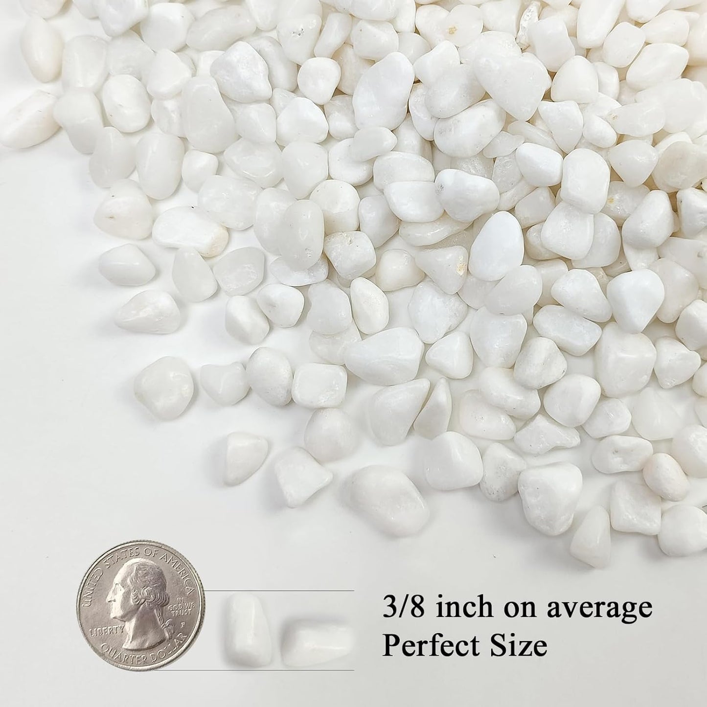5 lbs White Pebbles for Indoor Plants, 3/8 Inch Decorative White Gravel, Polished River Rocks for Potted Plants Vase Cactus Bird Bath and Outdoor Garden Landscaping