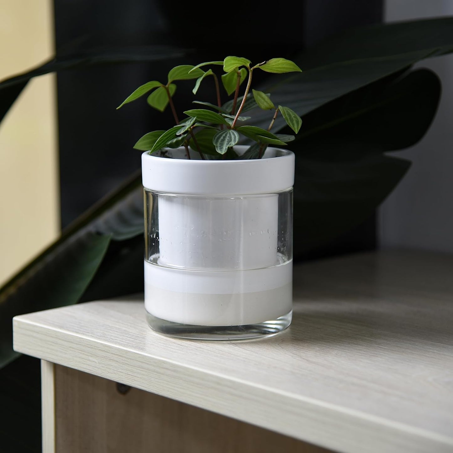 Phoenix Vine 4 Inch Self Watering Planter, White Terracotta Clay Pot with Glass Reservoir for Indoor Plants, Herbs, Flowers, Set of 2, 52-B-E-2