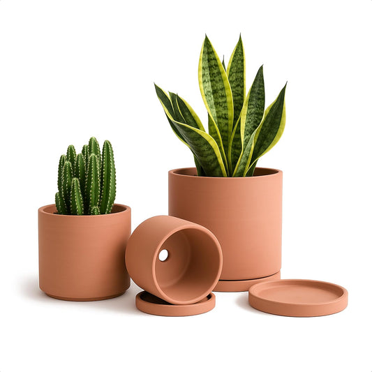 D'vine Dev Terracotta Pots for Plants, 4.2 Inch 5.3 Inch 6.5 Inch, Succulent Planter Pot with Drainage and Saucer, 40-T-A-0