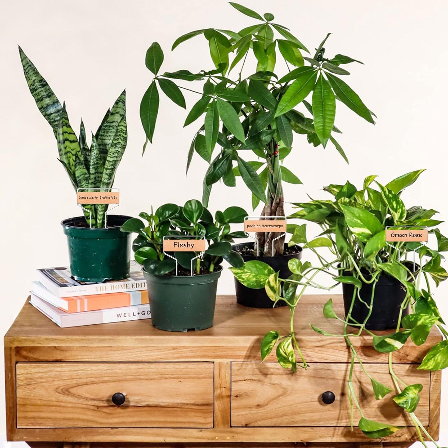 50 PCS Metal Plant Labels Plant Tags 4 Inch Plant Markers For Garden Waterproof Copper Plant Tags Outdoor Garden Label Stakes Reusable Nursery Tags Garden Plant Copper Label For Seedlings