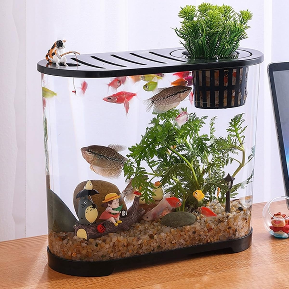 5lbs Aquarium Gravel, 1/8"(2-4mm) Natural River Rocks Succulent Cactus Pea Gravel for Plants, Fish Tank, Decorative Pebbles for Gardening, Flower Pots, Vase Fillers, Landscaping