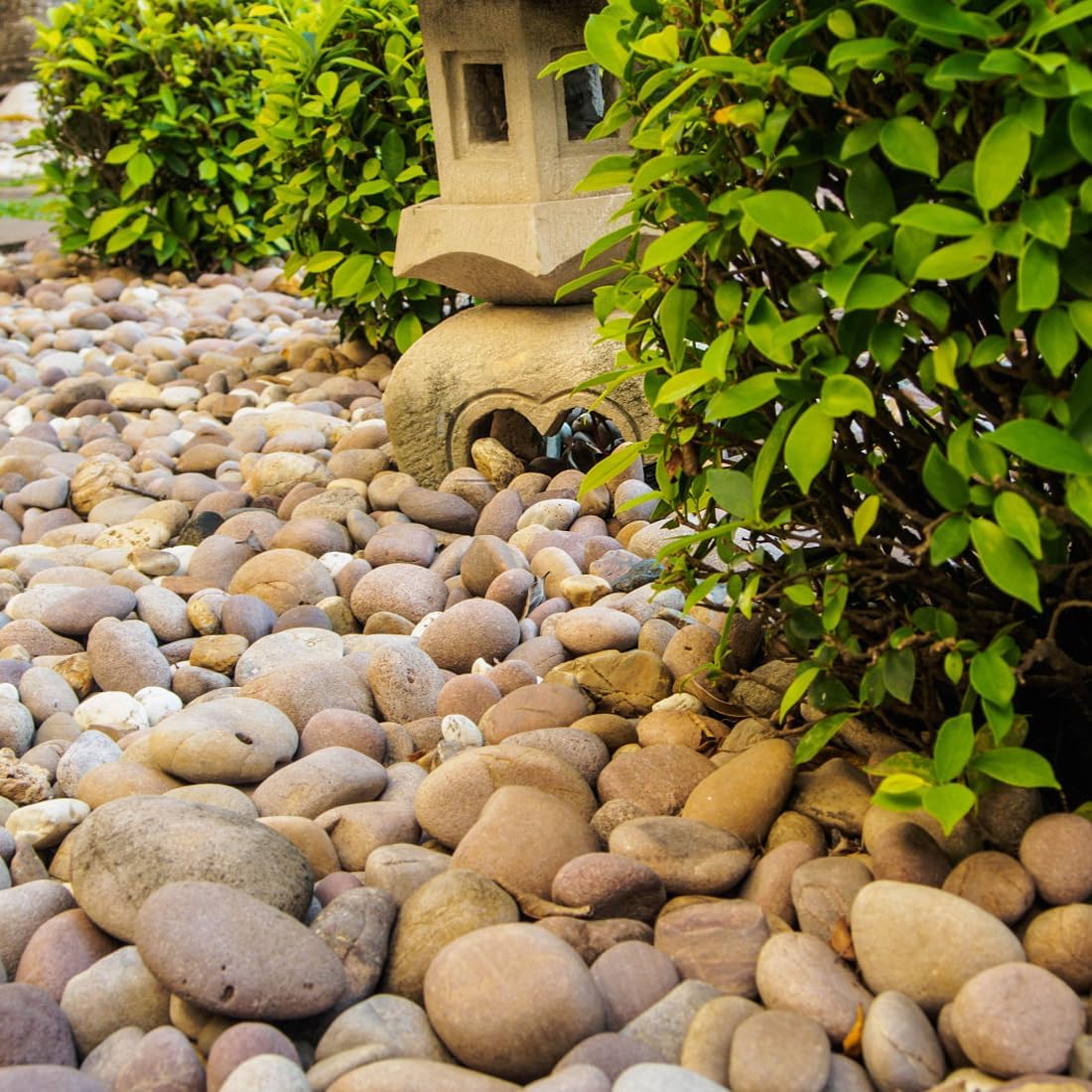 40lbs Natural River Rocks, 2-3" Premium Pebbles for Garden and Landscape Design, Hand-Picked Smooth Stones for Fish Tank, Flower Pots, Indoor Water Fountains, Pathways, Backyard