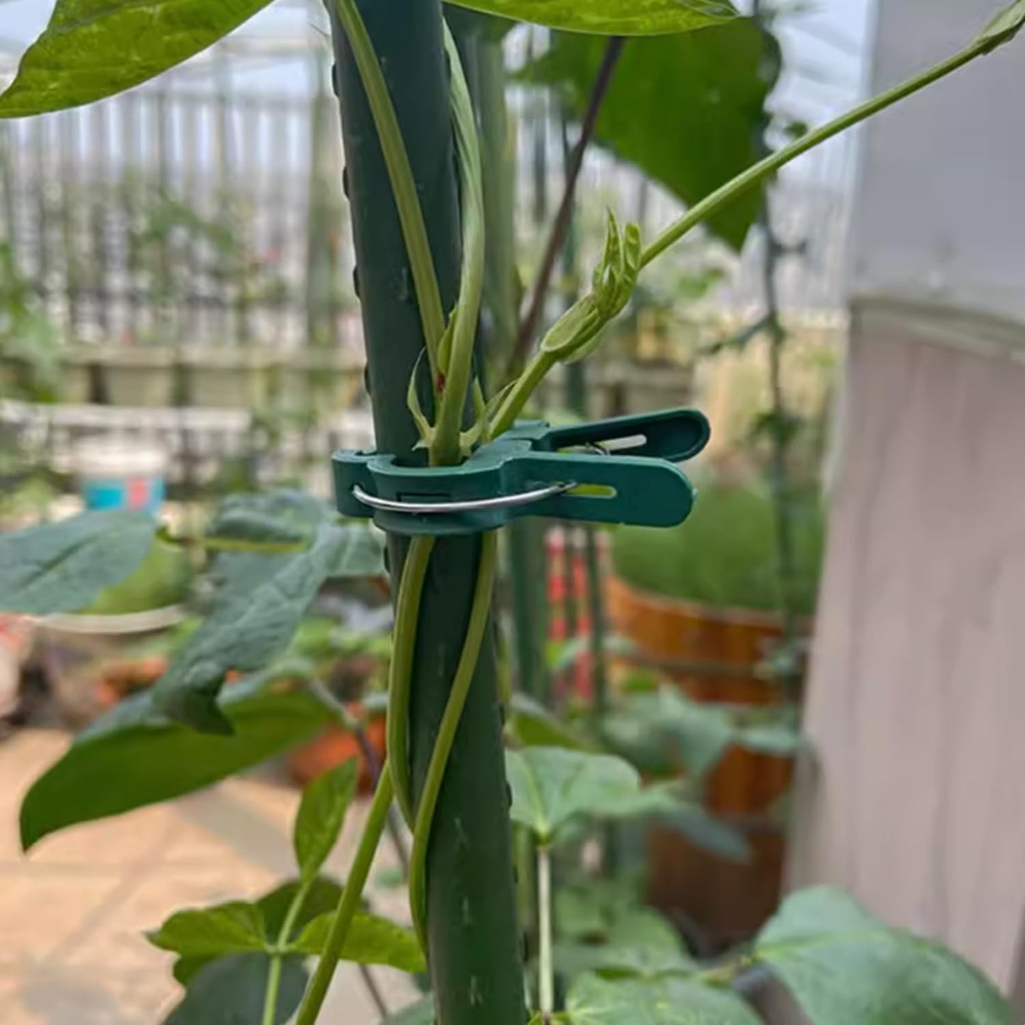 40Pcs Plant Clip Garden Clip Plant 2 Size Reusable Tomato Clip,Multi-Purpose Plant Rattan Clip Rose,Sturdy Cucumber Orchid Clip Plant Support Adjustable Clip Green (20 Large + 20 Small)