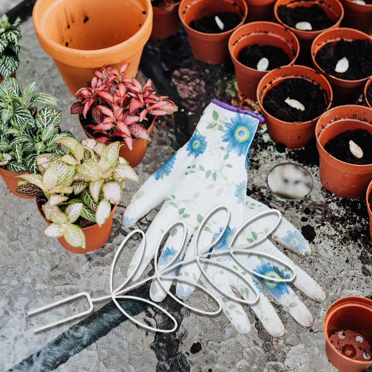 2Pack Indoor Plant Trellis Metal Wire Garden Trellis ，Small Climbing Leaf Shape Trellis for Garden Potted Plant Houseplant (Whiter)