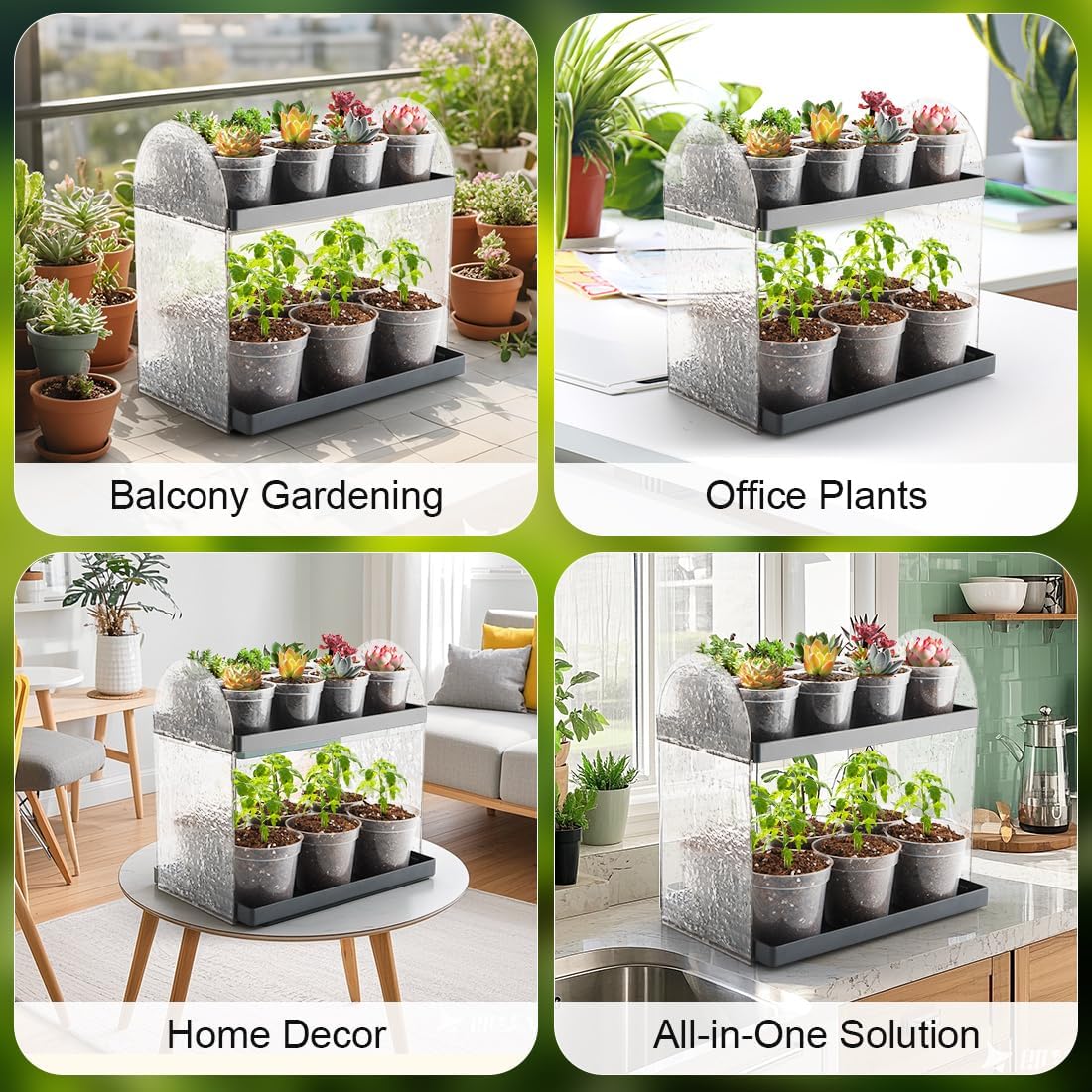 2-Pack Mini Plant Stands with 2.5" & 3" Clear Plastic Pots with Drainage Holes for Plants Indoor Seedling Small Succulent Windowsill Shelf as Gifts for Men Women