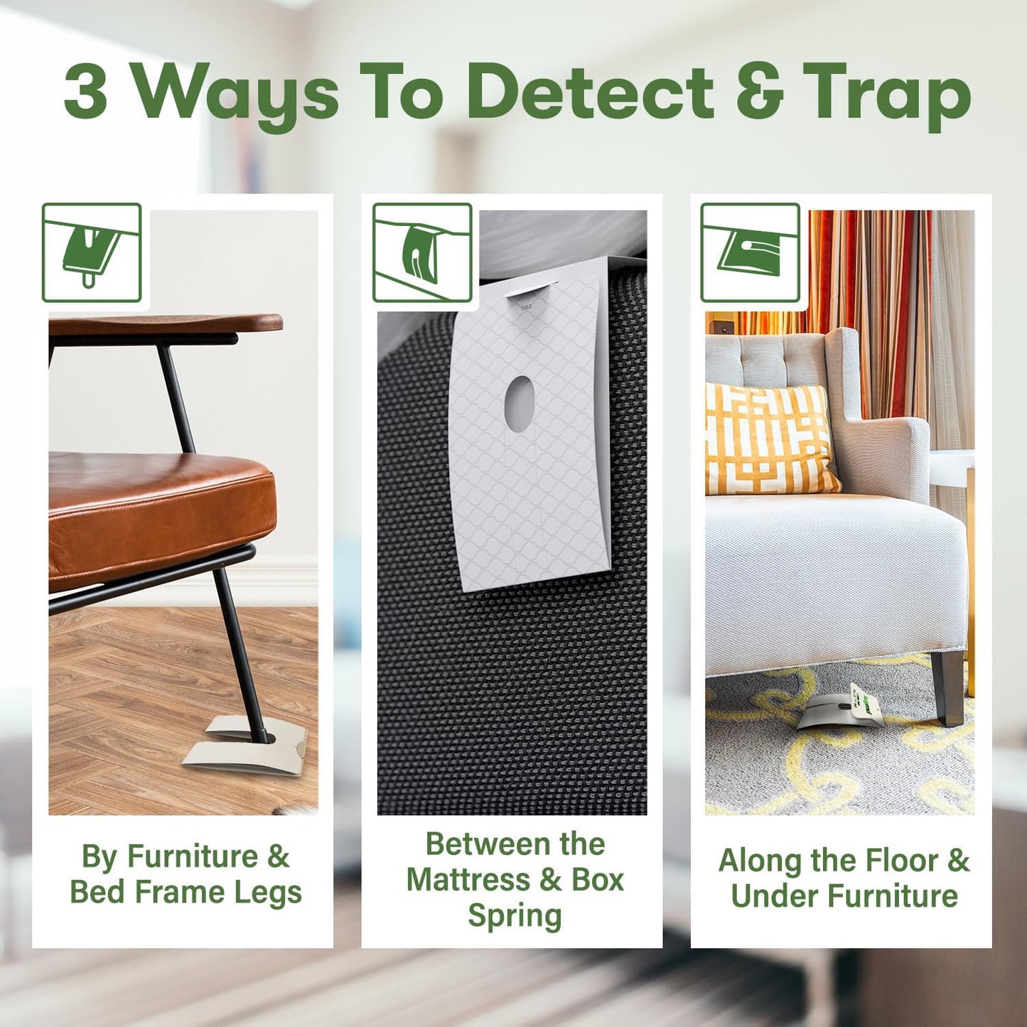 BugMD Bed Bug Trap (1 Pack, 12 Traps) - Interceptors, Bed Bug Prevention, Sticky Glue Traps, Insect Trap Indoor