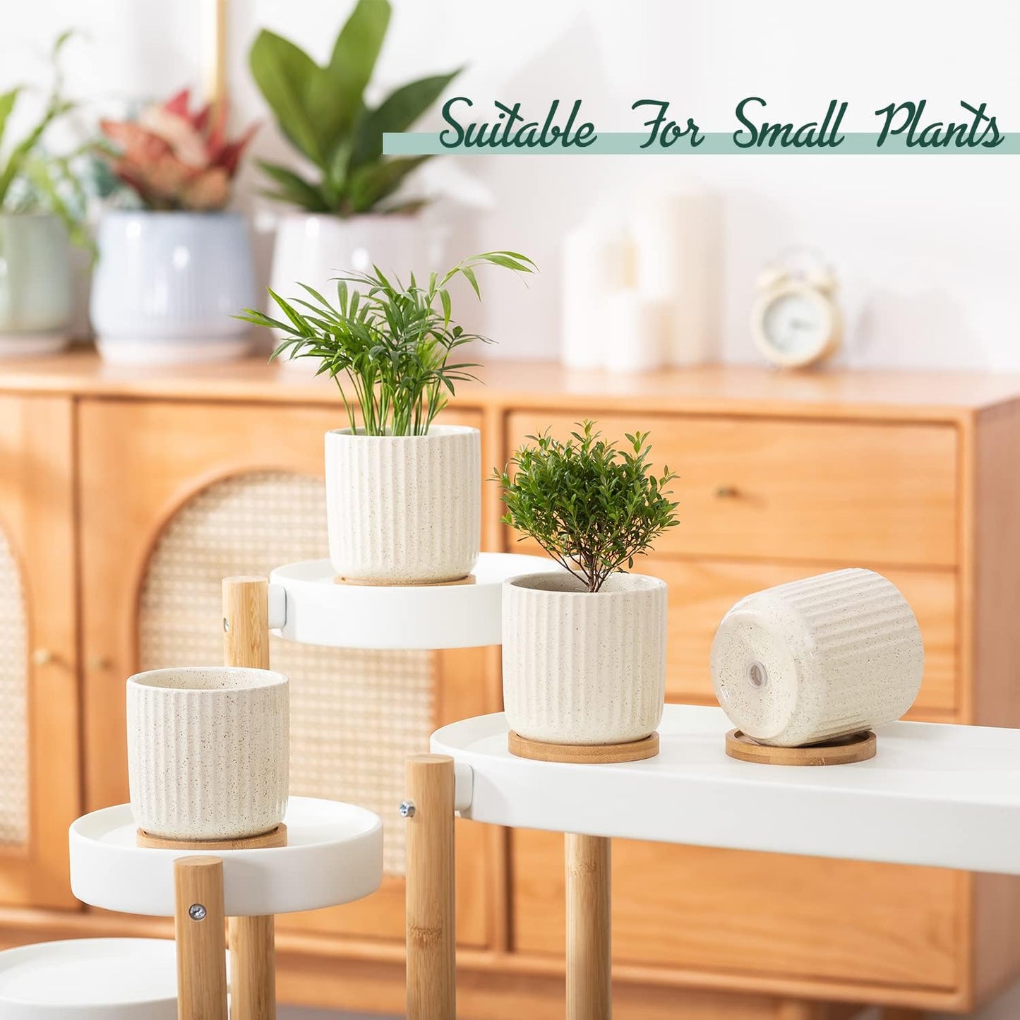 TAMAYKIM 4 Inch Ceramic Plant Pots with Drainage Holes, Modern Flower Planter with Saucer for Indoor Plants, Succulent, Cactus & Herbs, Beige, Set of 4 (Plants Not Included)