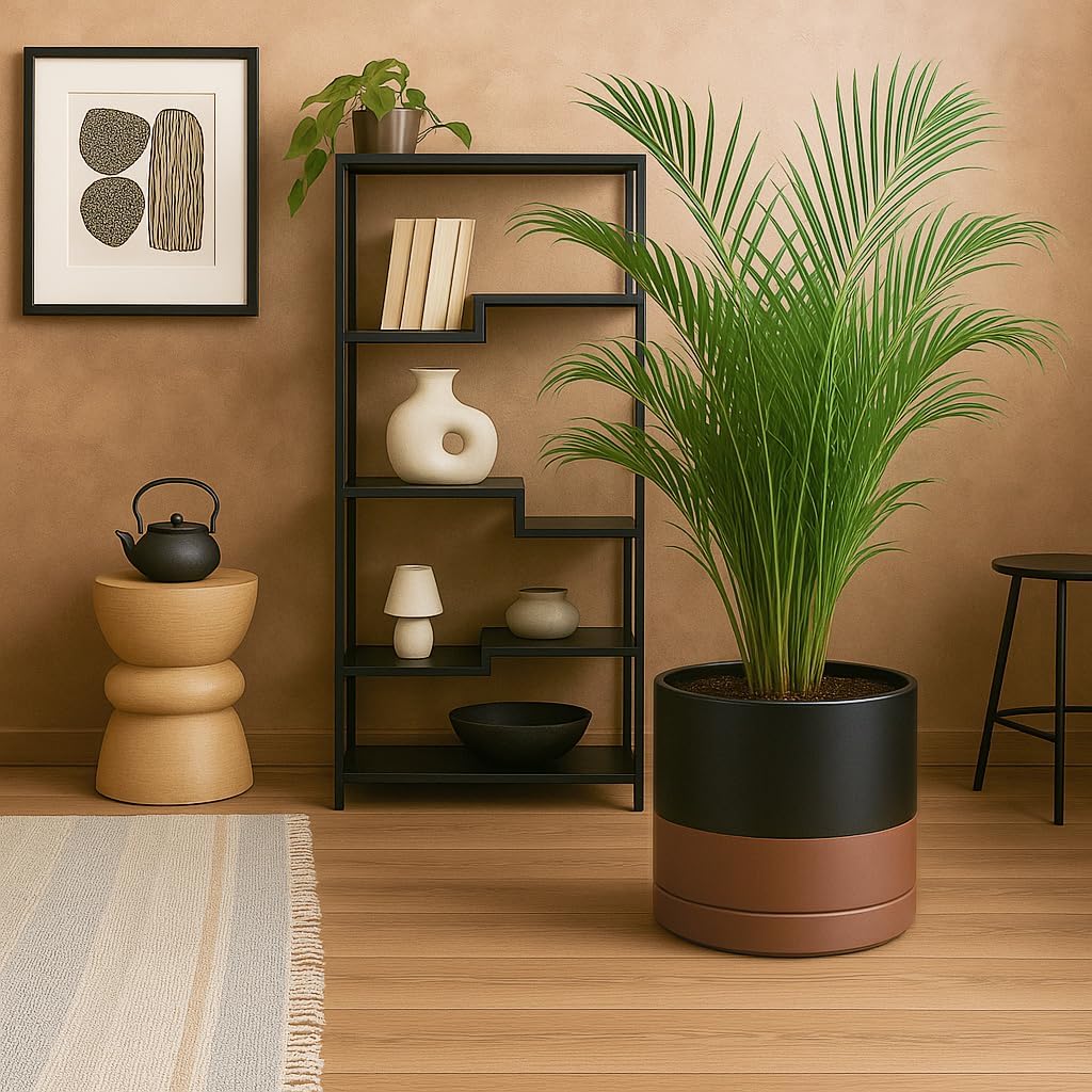 D'vine Dev 12 Inch Ceramic Planter Pot with Drainage Hole and Saucer, Indoor Cylinder Round Planter Pot, Black/Speckled Tan, 94-O-F-7