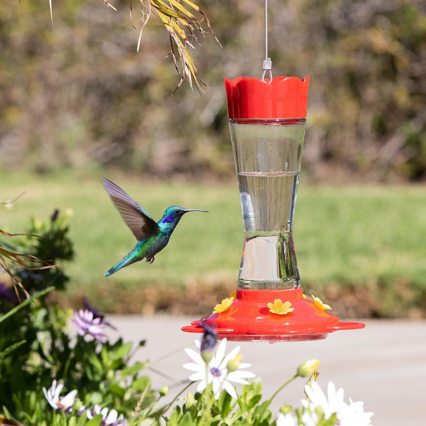 MEKKAPRO Outdoor Hummingbird Feeder Made from Glass, Humming Bird Feeders for Outdoors Hanging Ant and Bee Proof with 5 Nectar Feeding Stations, Bright Red, Backyard Feeder (10 Ounces)
