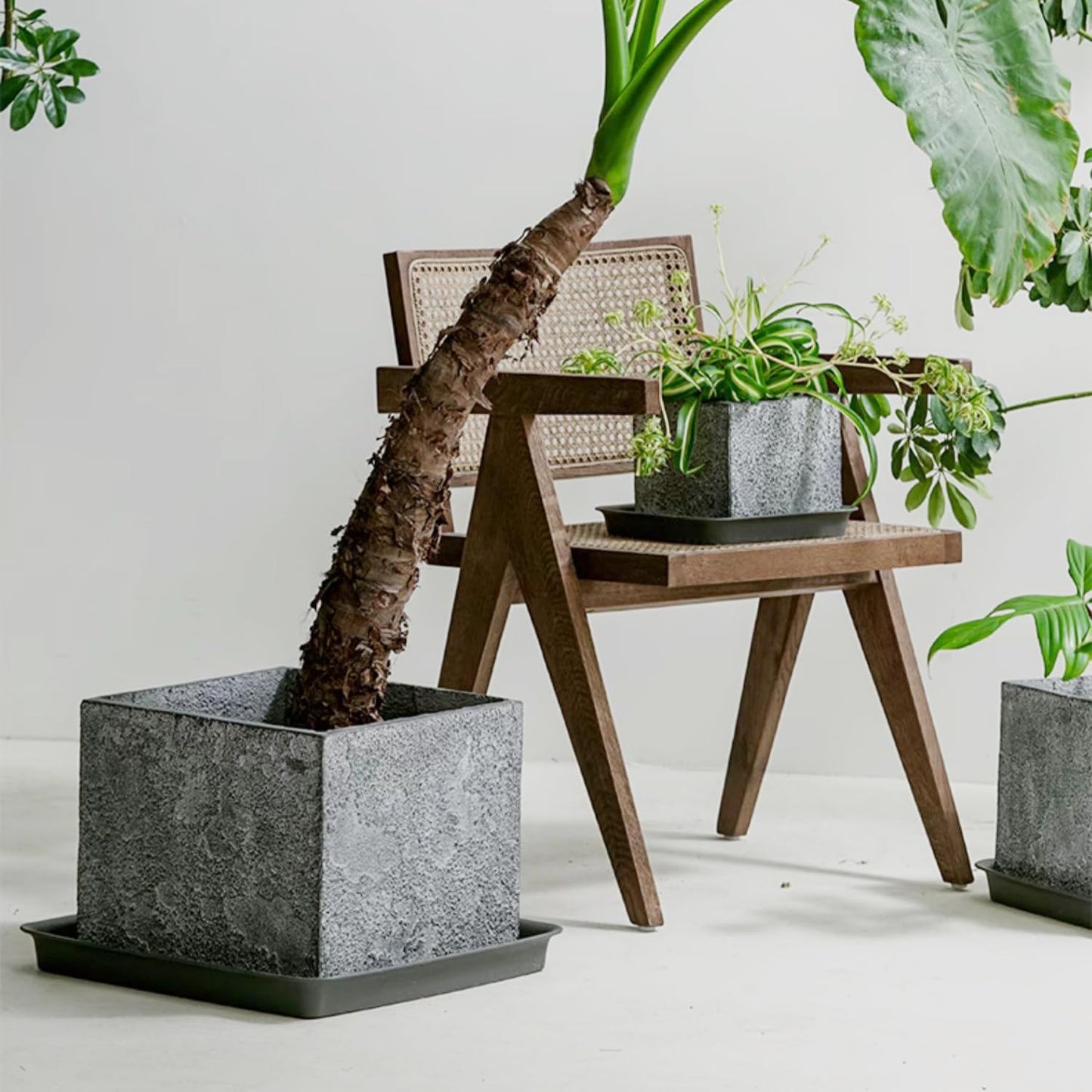 Square Plant Saucer 16 Inch 2 Pack, Duty Plastic Plant Saucer, Heavy Duty Plant Pot Saucers, Garden Large Deep Plant Trays for Pots, Planters for Indoors and Outdoors Plants.