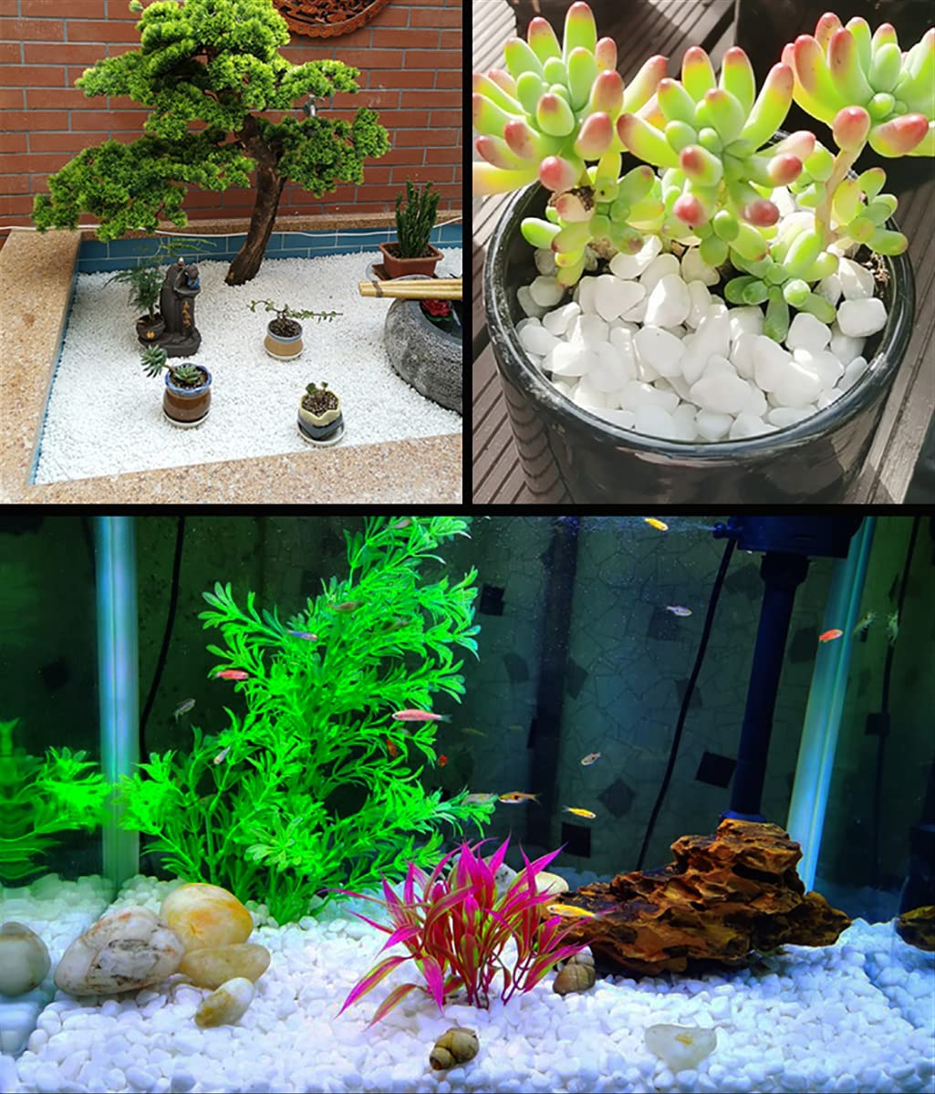 HOT SEAL 12.0 LB White Polished Pebbles 3/8", Natural Decorative Smooth River Rocks, Gravel Size White Small Pebble Stone for Succulent, Bonsai, Potted Plants, Landscaping, Fairy Garden, Aquarium