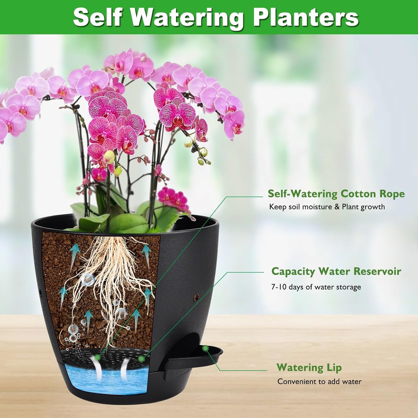 6 Inch Orchid Pots with Holes, 2 Pack Self Watering Planters for Orchids Plastic Orchid Pot Plant Flower Pots for Orchids Indoor Outdoor (Black)