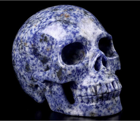 Skullis 5.0" Blue Speckled Sodalite Crystal Skull, Hand Carved Gemstone Fine Art Sculpture, Reiki Healing Stone Statue. z8