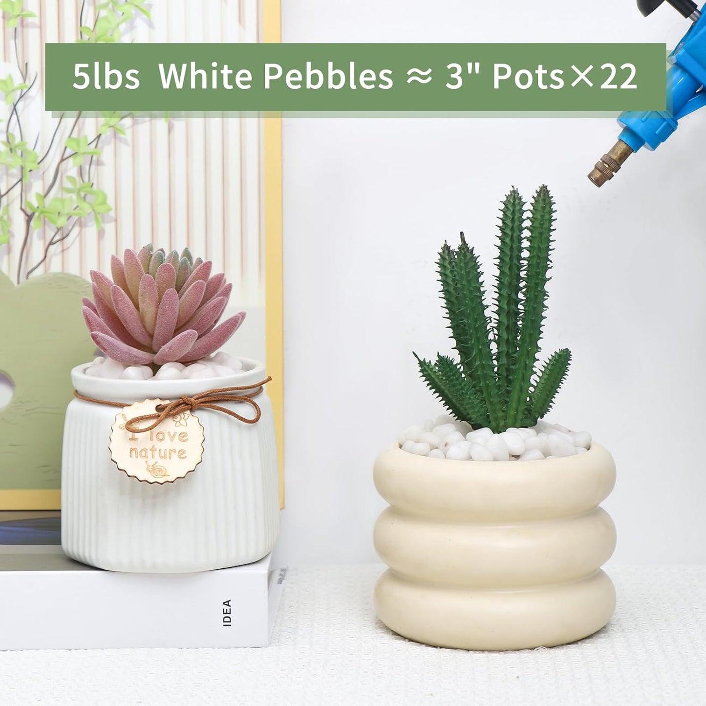 5 LB White Pebbles for Plants, 3/8 inch White Rocks for Vases Landscaping, Small Decorative Stones for Indoor Outdoor, Polished