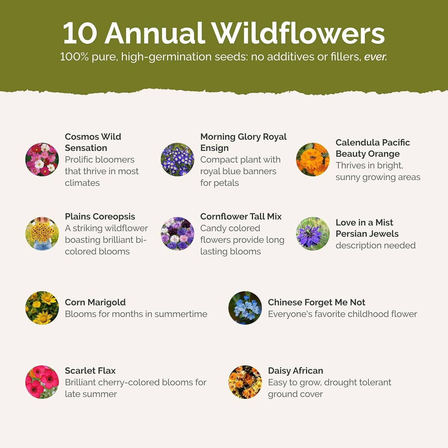 Eden Brothers Country Garden Flower Mixed Seeds for Planting, 1 lb, 480,000+ Seeds with Scarlet Flax, Cosmos Sensation | Attracts Pollinators, Plant in Spring or Fall, Zones 3, 4, 5, 6, 7, 8, 9, 10