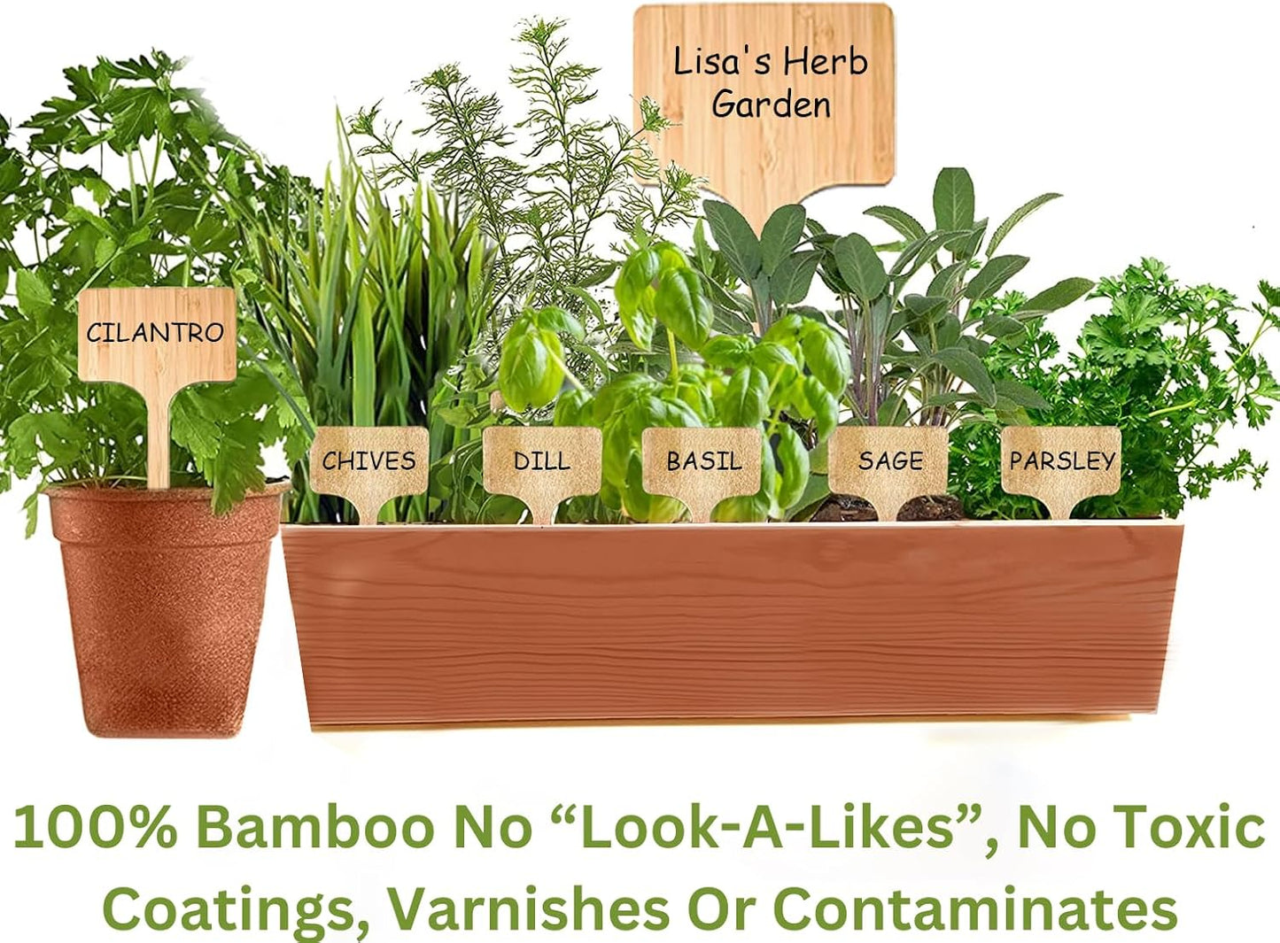 10 Pack 8 Inch Tall Plant Labels Large Garden Markers Plant Name Tags for Flowers, Herbs, Vegatables, Seeds, Bulbs Easy to See Larger Writing Area with Full Size Marker