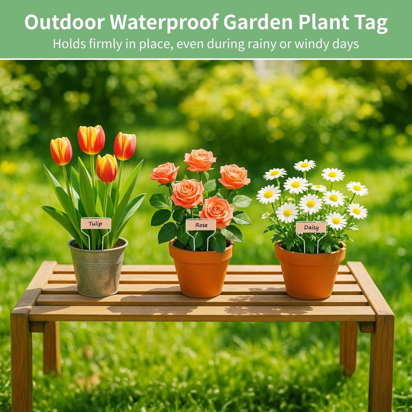 80 PCS Metal Garden Tags Plant Labels for Garden Waterproof Plant Markers with 2 Permanent Pen, High Copper Plate Plant Labels,Coppers Plant Tags for Flowers, Vegetables, Seedlings, Seed (80PCS)