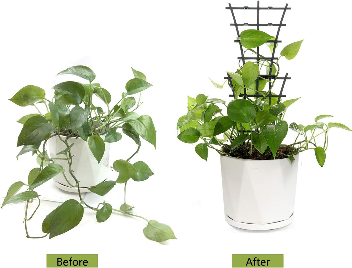 12 Pcs Garden DIY Mini Climbing Trellis Plastic Superimposed Potted Plant Support Garden Trellises for Potted Climbing Plants Vines