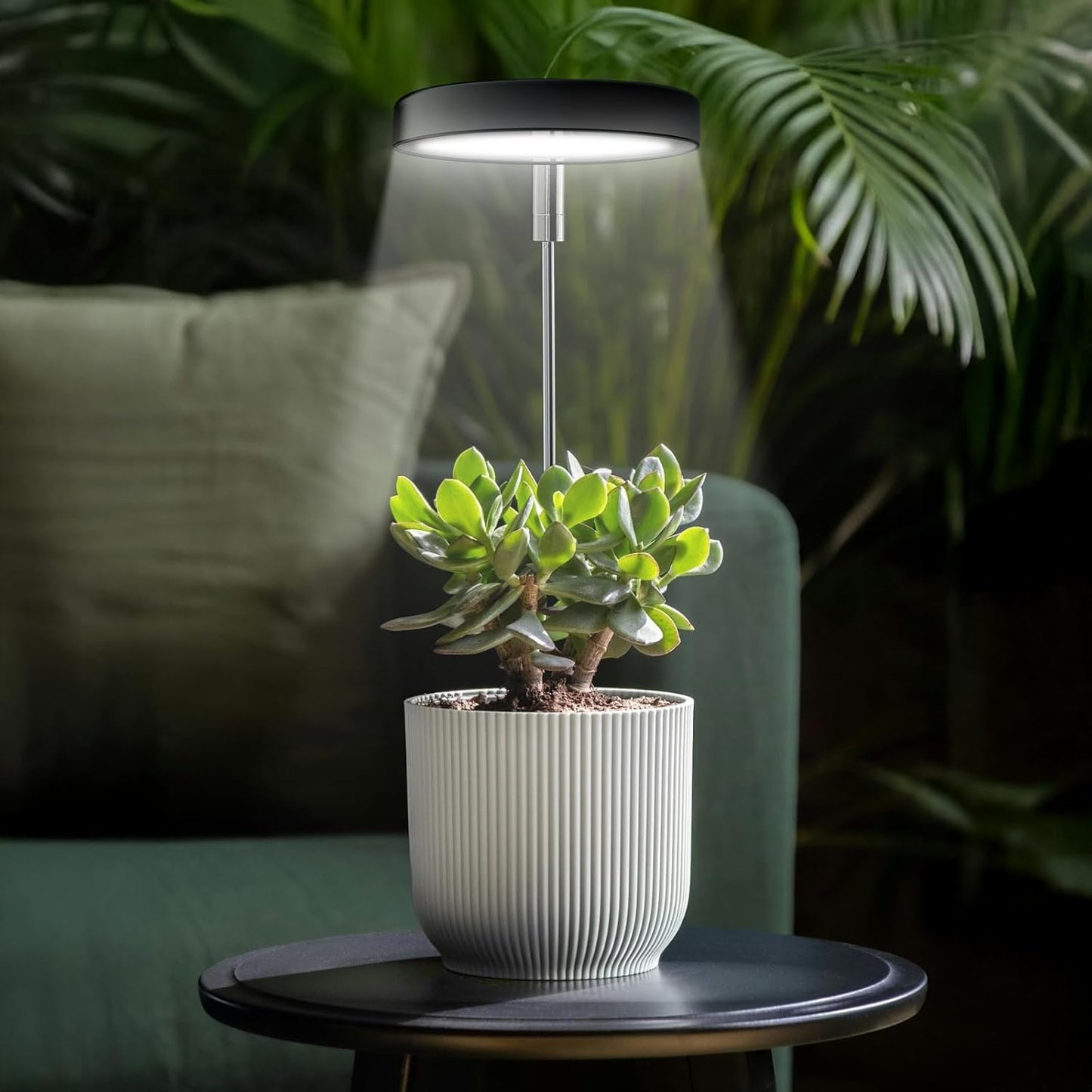 Grow Lights for Indoor Plants Small Potted - Full Spectrum, Auto 3/9/12H Timer, 10-Level Dimming & Adjustable Height - Compact Grow Light for Succulents, Herbs, Foliage in Home/Office (Black,1PACK)