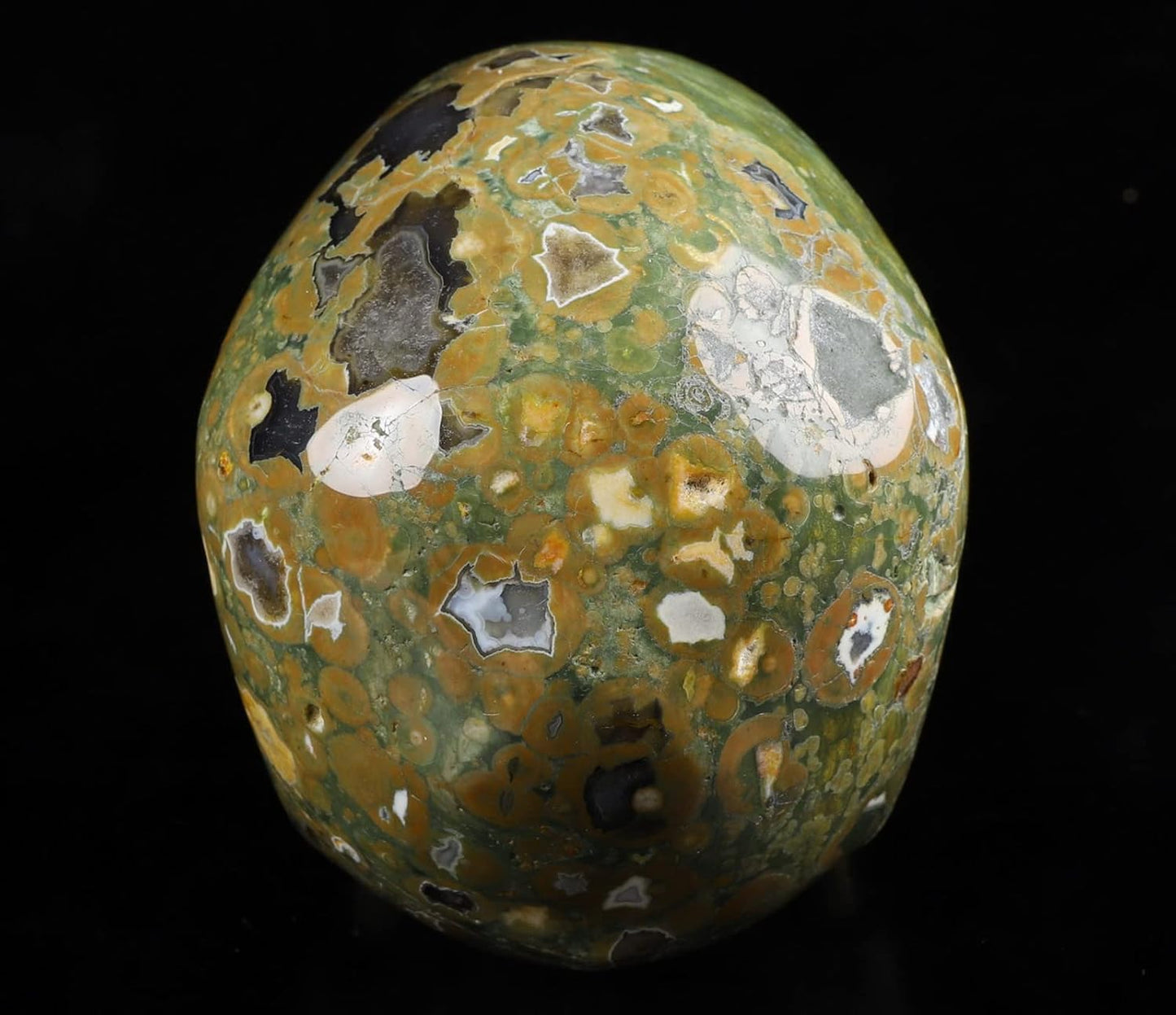 Skullis 5.0” Rainforest Jasper Hand Carved Crystal Skull, Super Realistic, Crystal Healing, Hand Carved Gemstone Fine Art Sculpture, Reiki Healing Stone Statue.377 Z8