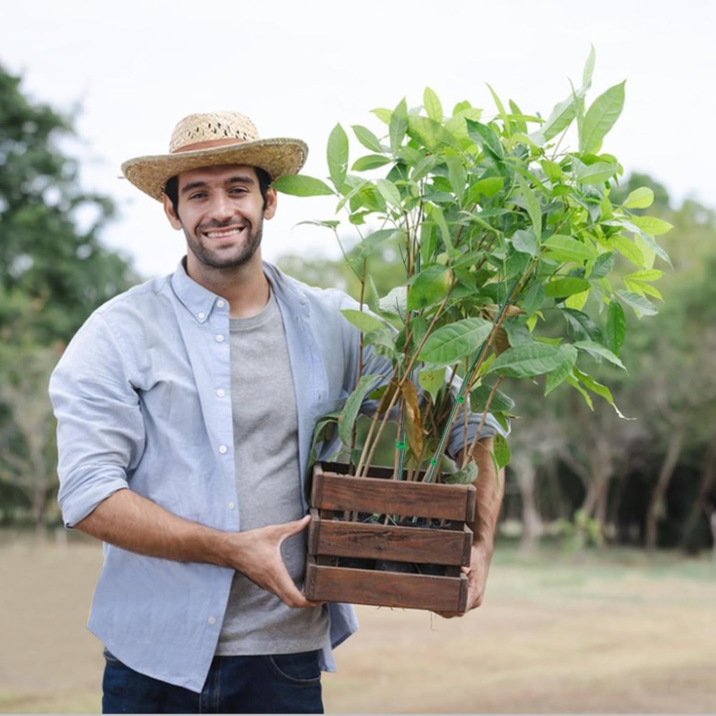 6 Pack Plant Support Plant Stakes for Indoor and Outdoor Plants, 28.8” Plant Sticks with Plant Clips Twist Tiers and Plant Tiers for House Potted Plants, Monstera Plant Support for Climbing Plants