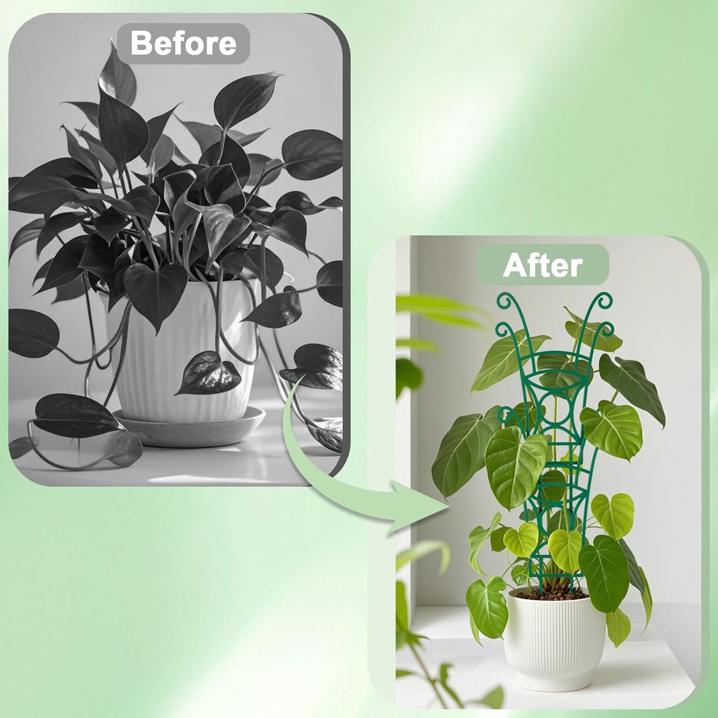 8 Pack Trellis for Potted Plants, Stackable Indoor Plant Trellis for Climbing Plants, Garden Trellis Outdoor for Flower Vine Lvy Hoya Houseplants Plant Support