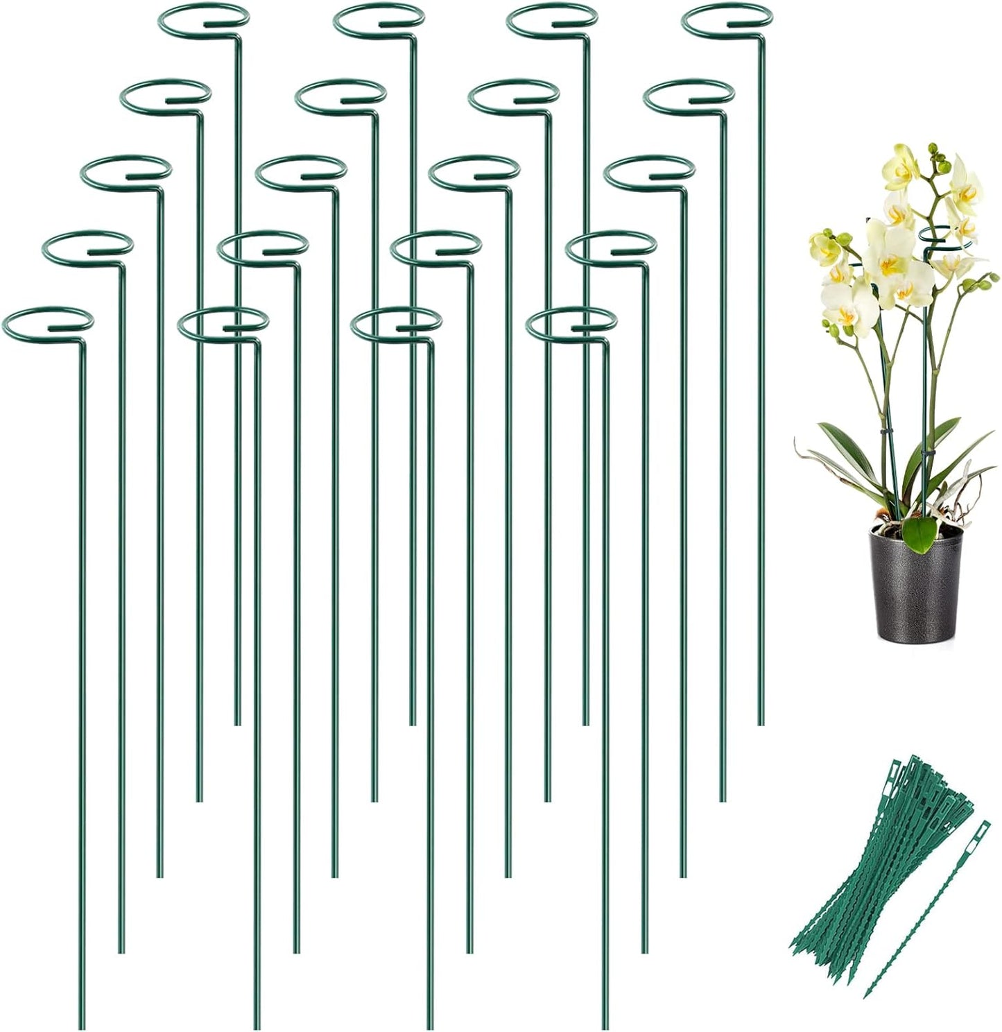 Joyhalo 20 Pack Plant Support Stakes 24 Inch, Plant Stakes, Flower Stakes with 24 Twist Ties, Garden Sticks for Plants Iris, Dahlia, Gladiolus, Amaryllis, Rose, Sunflower, Tomato, Sapling Etc