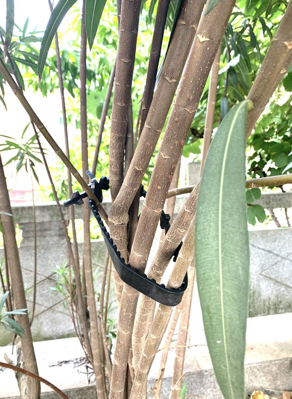 10 Pcs Tree Stake Supports Adjustable Tree Plant Ties Tree Training System, Heavy Duty Tree Stake Straps for Straightening, Reinforced Straps forTrees (5 Pcs 23.6 in + 5 Pcs 10.6 in)