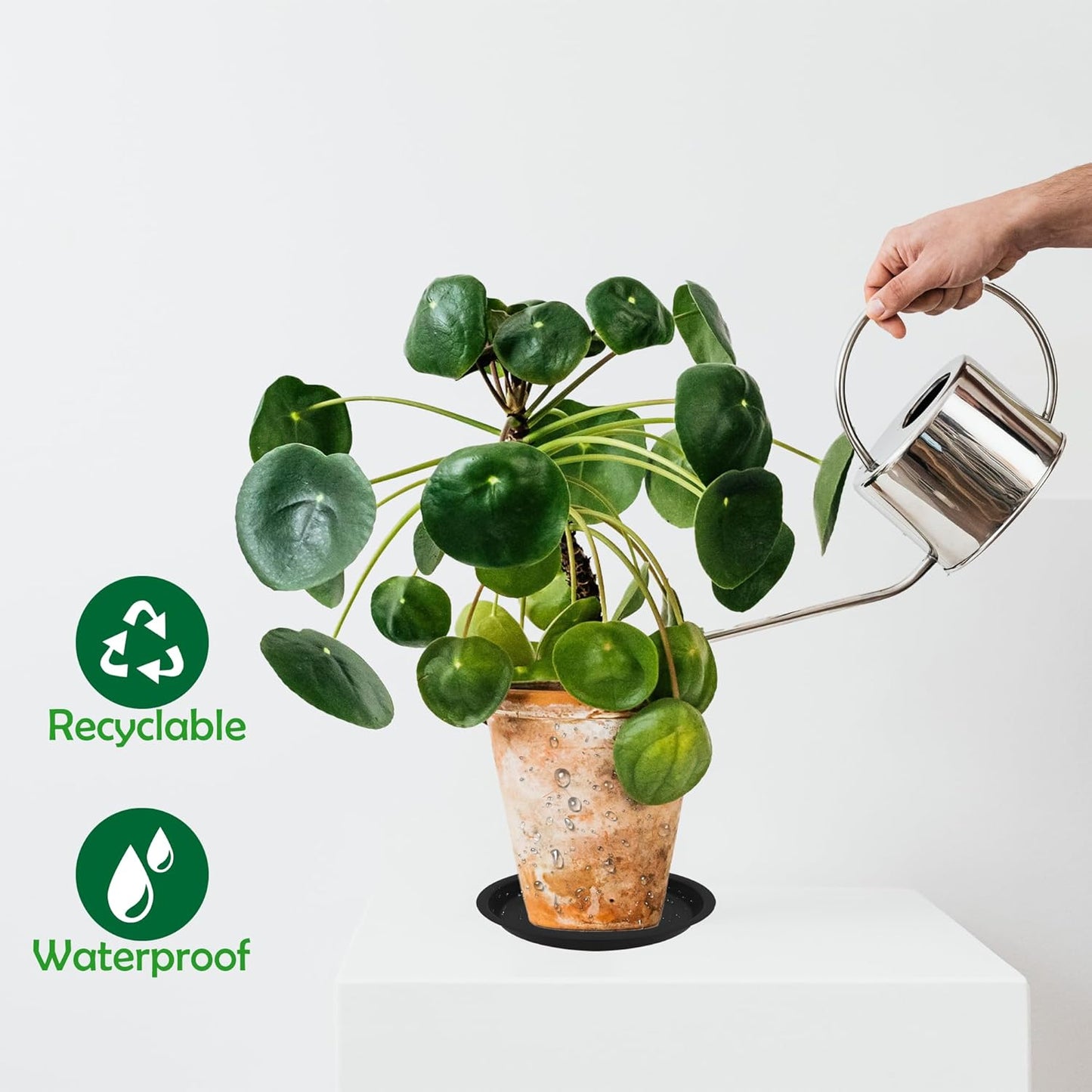 6 Pack 6 Inch Round Plant Saucers for 5 Inch Pots - Indoors & Outdoors Plastic Plant Drip Trays (Gray, 6"(6pcs))