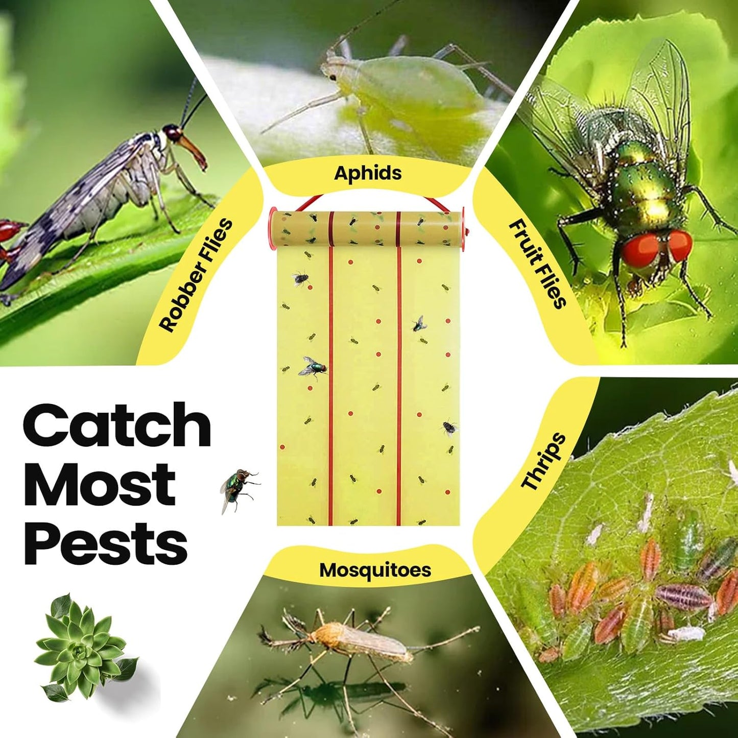 Qualirey Giant Sticky Fly Traps,30 Feet Fly Strips for Indoor Outdoor Hanging Flying Tapes Non Toxic Ribbon Fruit Gnat Killer for Mosquito Plants House Horse Stable (Fluorescent Green,5 Pcs)