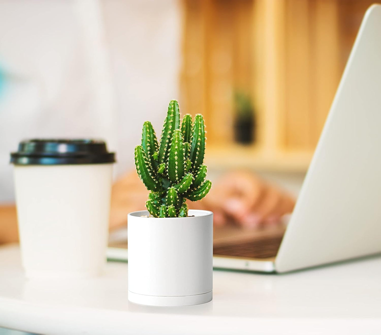 D'vine Dev Pack of 36 Plastic Plant Pots (12 Set of 2 Inch, 2.5 Inch, 3 Inch) Small Garden Planter Pots for Plant with Drainage Holes and Saucers, White, 74-T-A