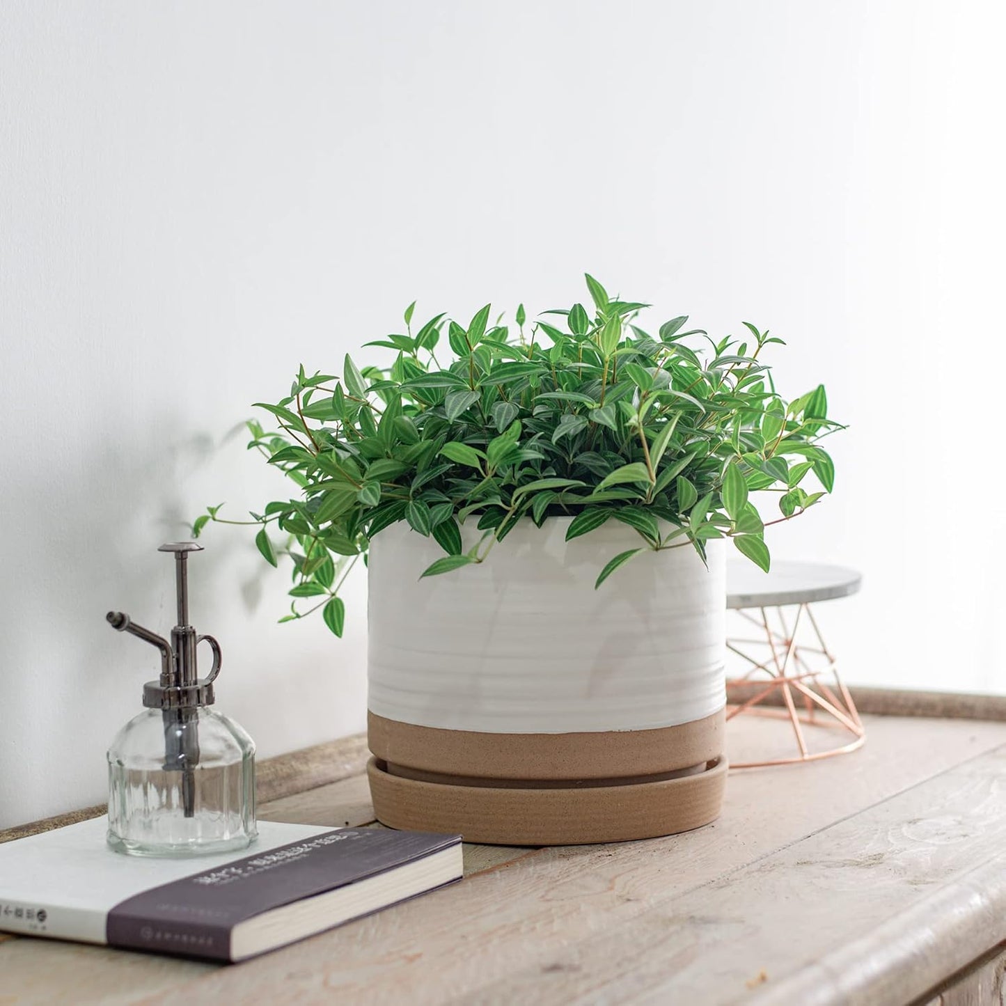 8 Inch Pots for Plants, Ceramic Planter Pot with Drainage Hole & Saucer, Indoor or Outdoor Cylinder Round Planter Pot, Matte White & Beige