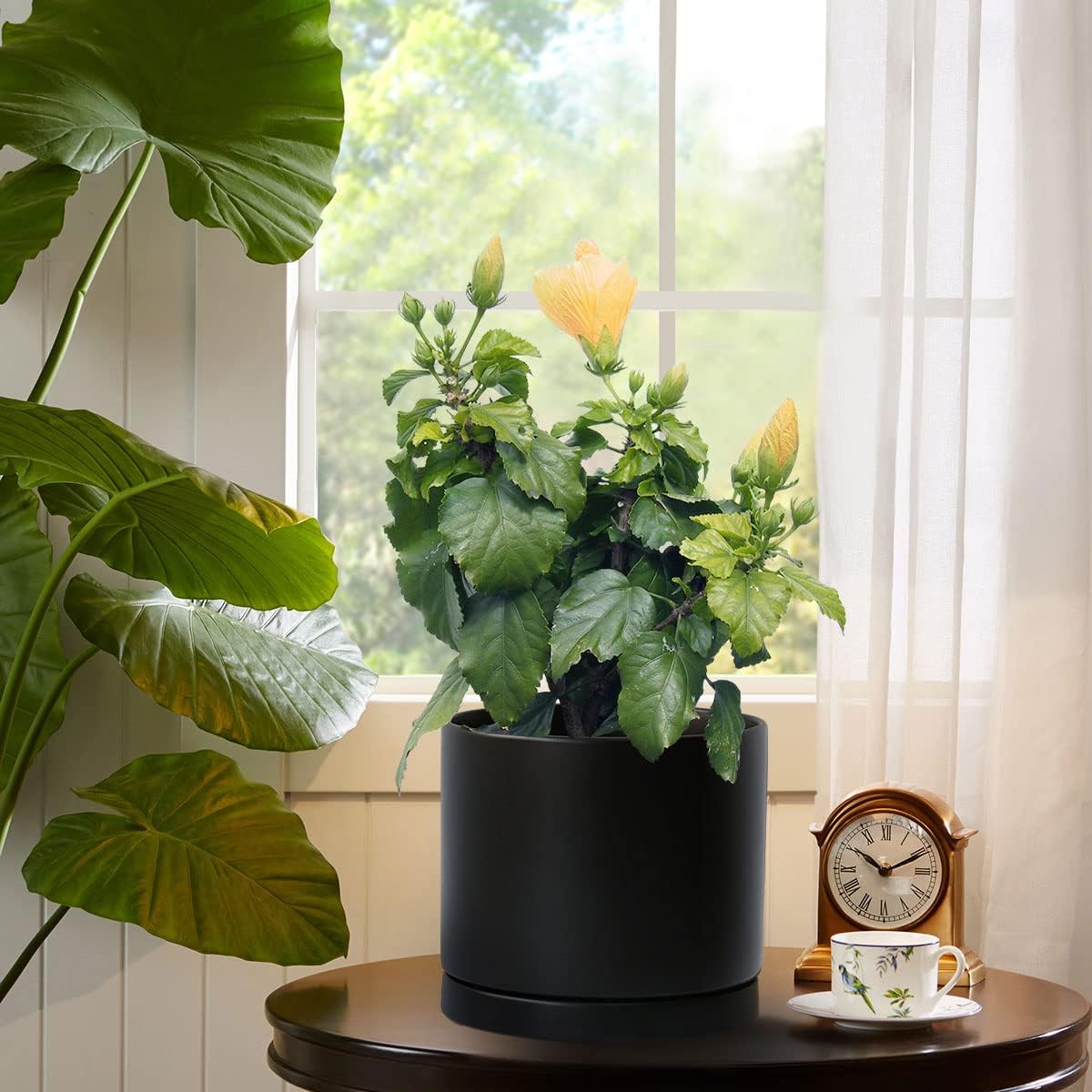 Aveyas 8 inch Ceramic Plant Pot with Drainage Hole and Saucer - Suitable for Indoor and Outdoor Use, Modern Planters for House Garden Flower Tree Snake Monstera Plants (8", Matte Black)