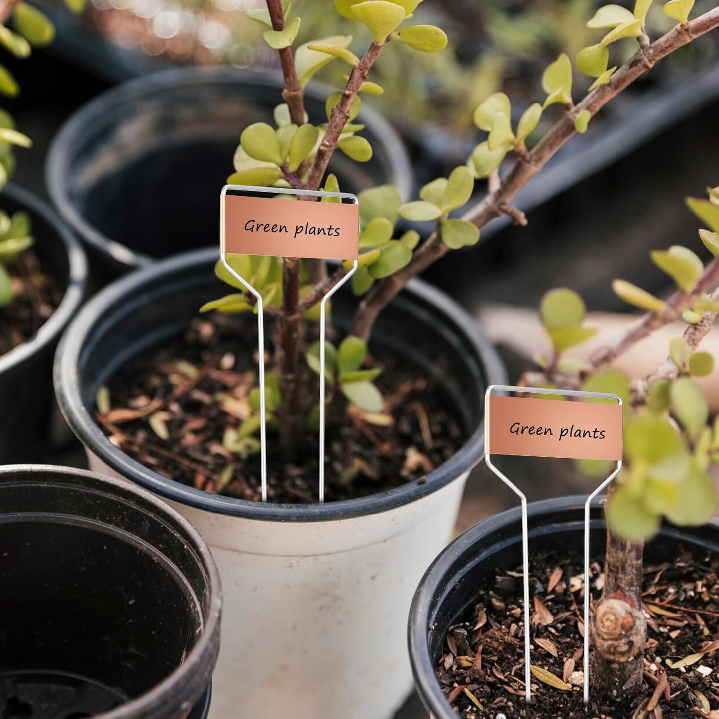 50 Pack 10 Inch High Copper Plate Metal Plant Labels Garden Stake Tags Reusable Planting Gardening Markers