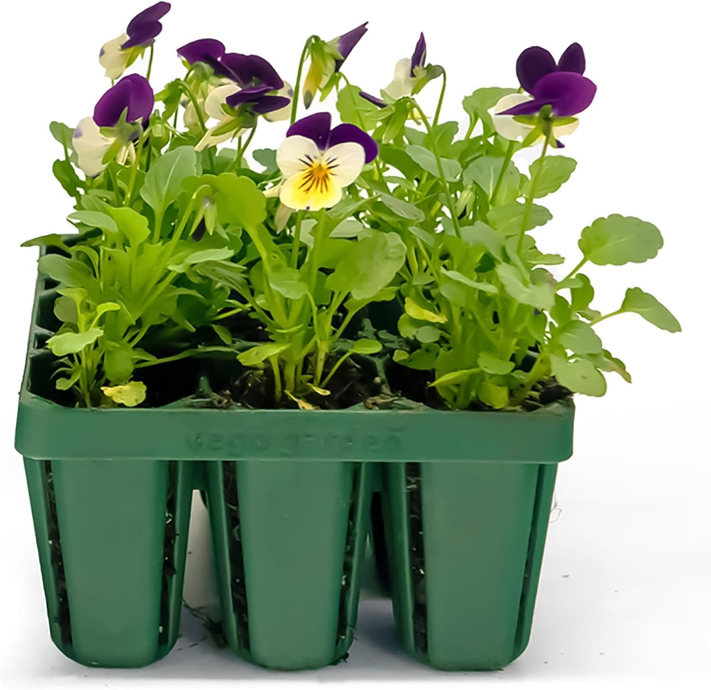 Vego garden Standard Seedling Trays Without Lids, 64 Pack for Seedlings Reusable Propagator Growing Starter Tray, Germination Trays Kit for Greenhouse/Garden (8-Cell per Tray)