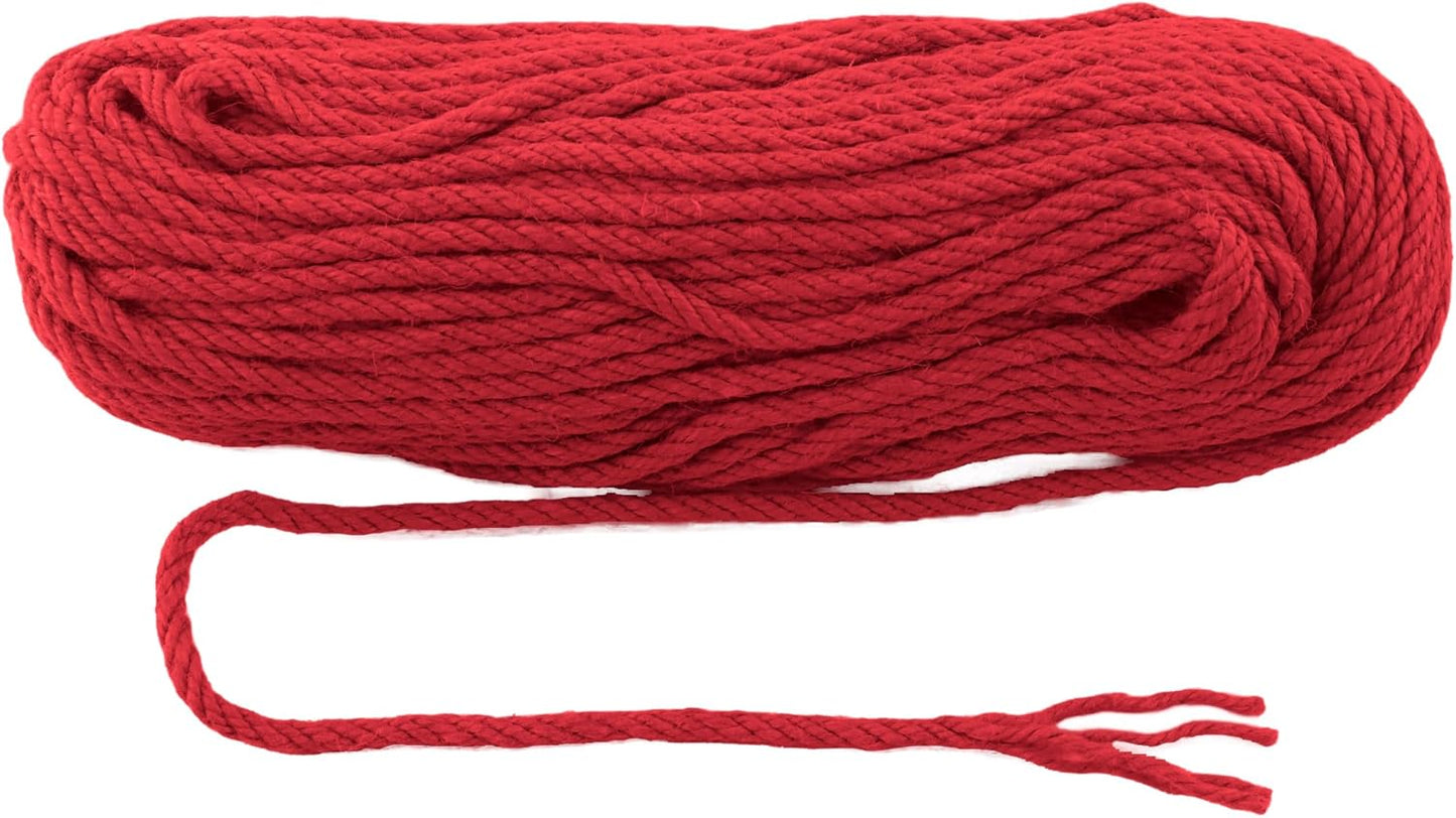 6mm x 150 Feet Red Jute Rope, Twine for Gardening Tomato Climbing Plant Tie Floristry Crafts Gift Wrapping Packing Decor