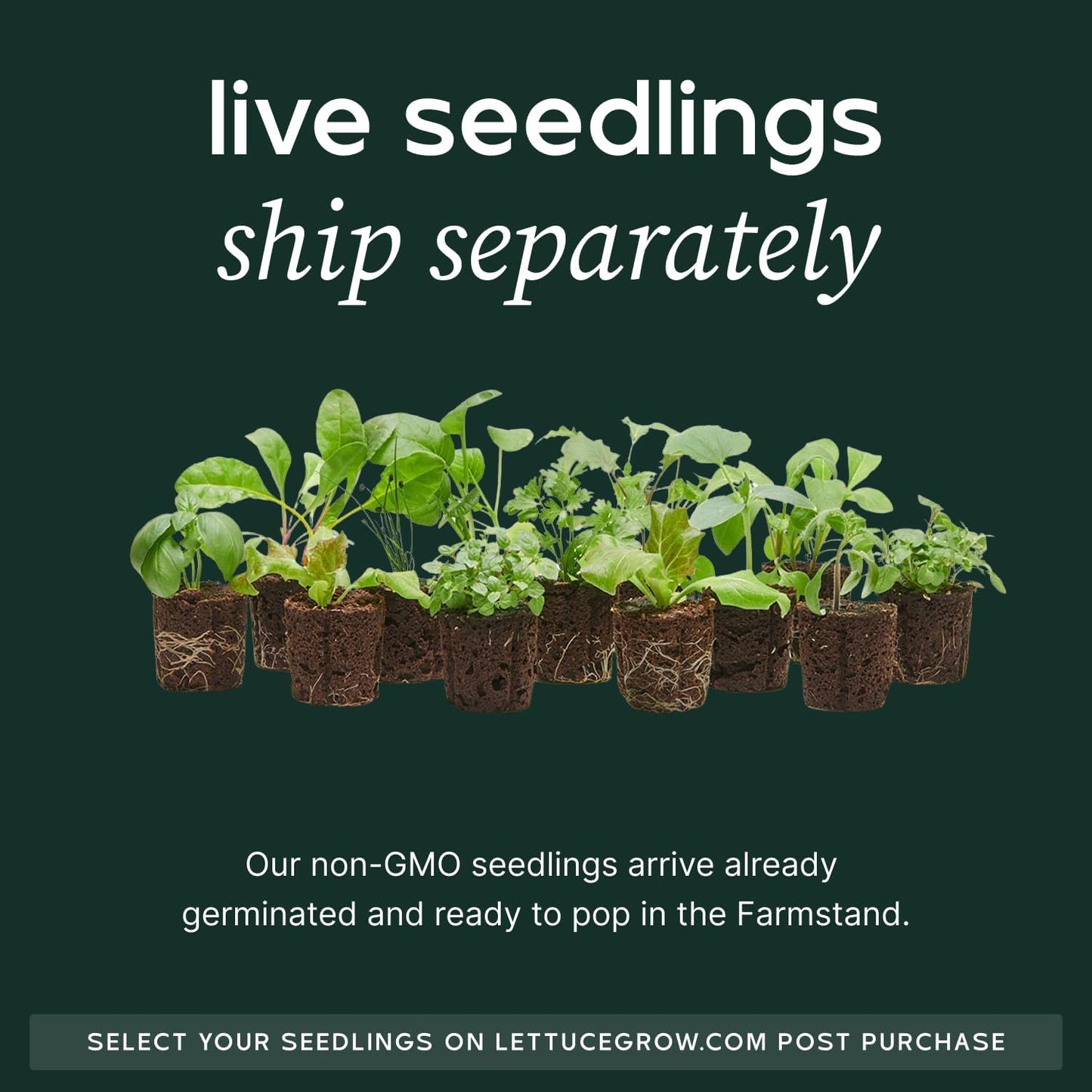 Farmstand Starter Kit with Glow Rings and 12 Seedling Credits | Tiny Hydroponic Growing System Kit | Vertical Garden Planter Tower | 3ft 8in Tall