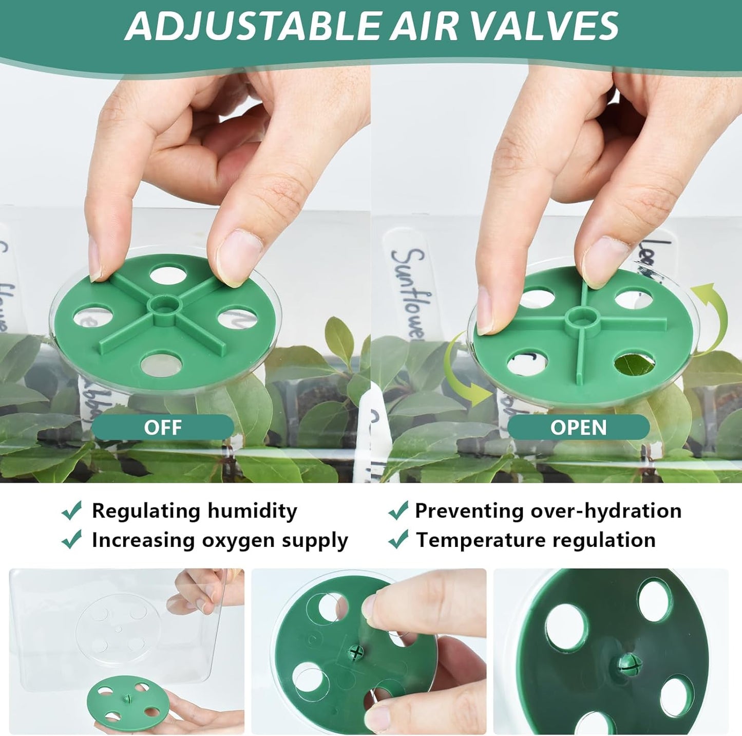 Artcome 10-Pack Seed Starter Tray, 12 Cells Each with Push-Up Ejector - Seed Starter Kit for Rapid Growth and Healthy Seedlings at Home - 120 Cells in Total