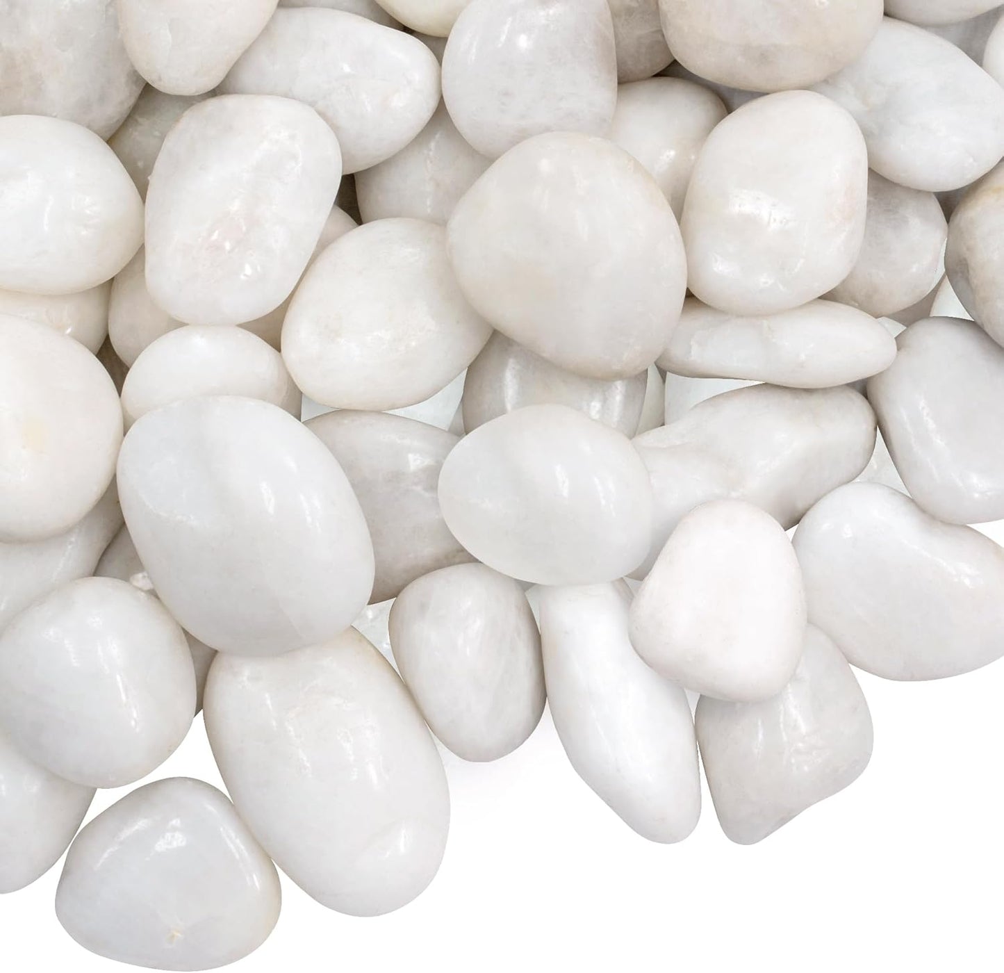 5lbs Large Pebbles for Indoor Plants, 2-3 Inch Natural White River Rocks for Aquarium, High Polished Decorative Stones for Vase Filler Fish Tank Landscaping Garden