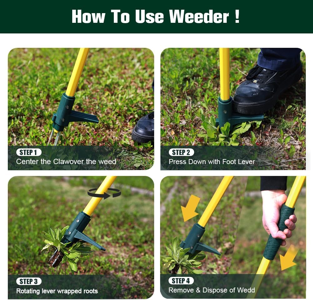 Weed Puller Tool, 50IN Long Handle 3 Claws Stand Up Weeder, Extra Thickened Stainless Steel Shaft Garden Weeding Tool,Remove the Roots of Thistles, Crabgrass, Dandelions, and Blackberries, etc.