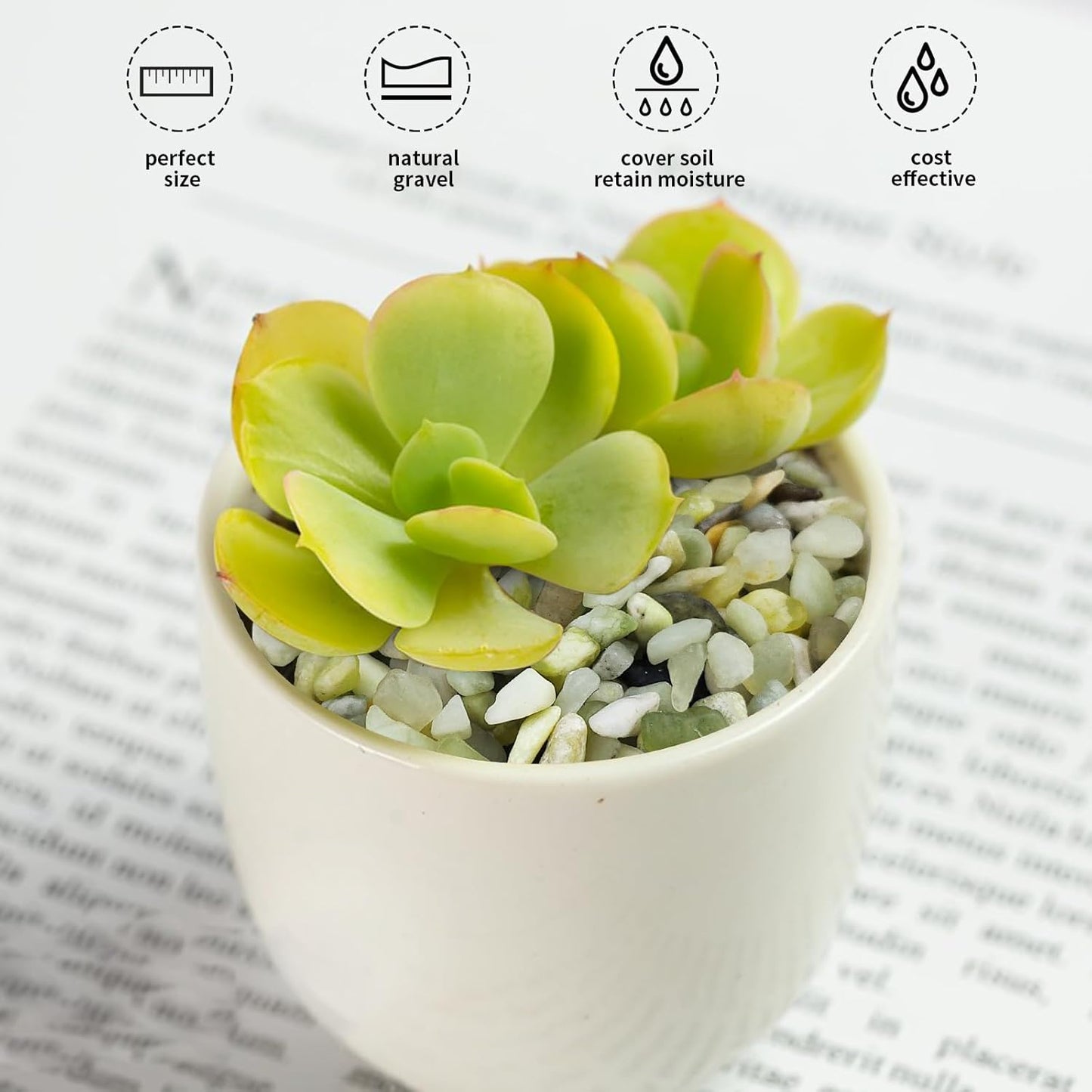 10 lbs Pebbles for Landscaping,1/4 Inch Polished Green Pea Gravel Small Rocks for Plants, Succulents, Cactus, Vases, Terrarium and Outdoor Gardening