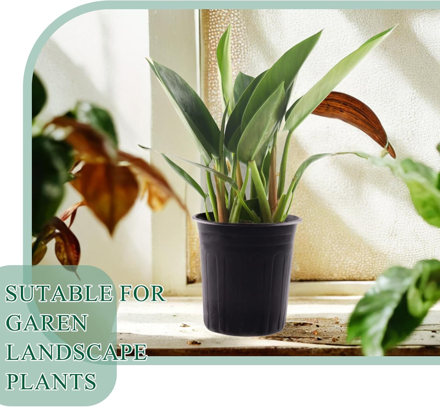 50 Pack 1 Gallon Flexible Plant Nursery Pots Plastic Seedling Starting Pots with Drainage Holes Soft Flower Pots Plant Container with Plant Labels, Black