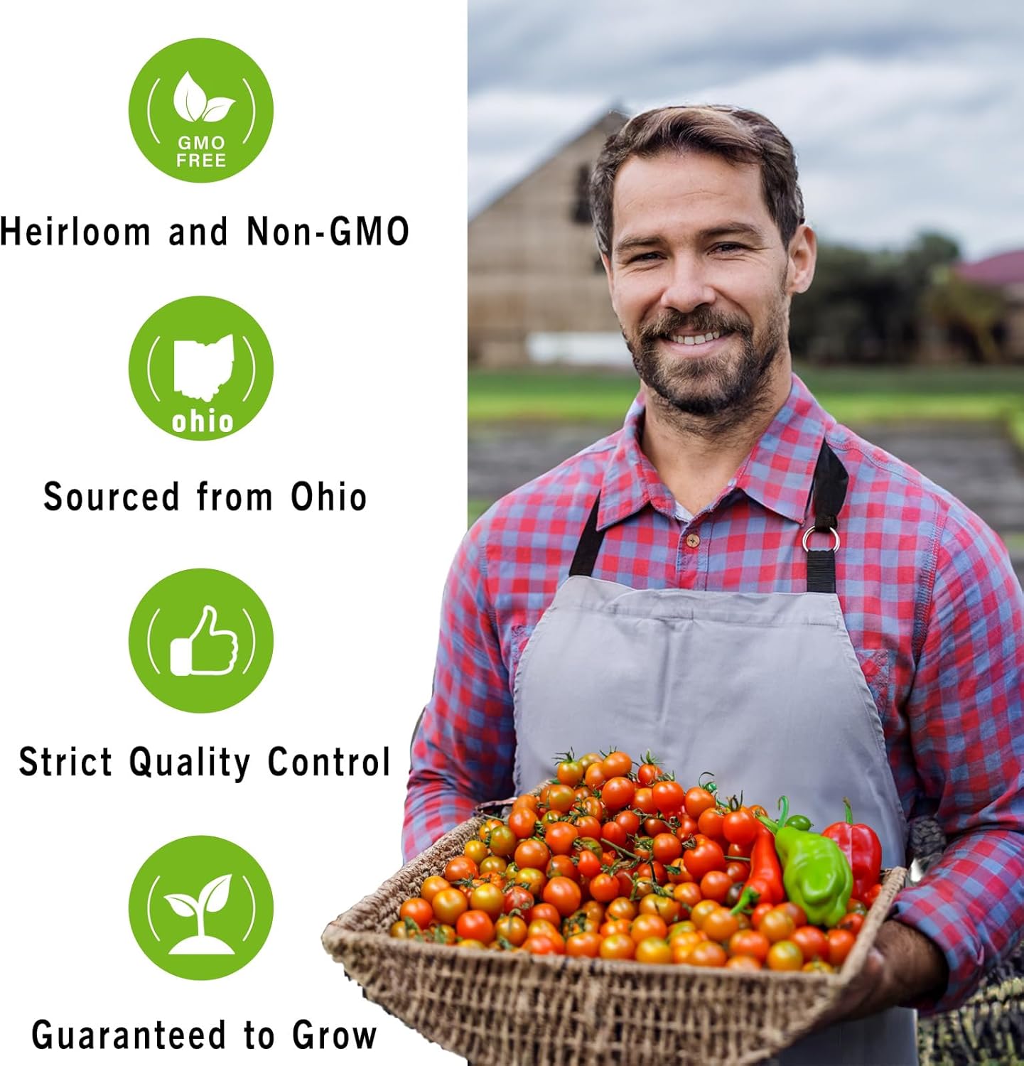 Heirloom Tomato Seed Pod Kit for AeroGarden, idoo, Ahopegarden, MUFGA with Red Heirloom/Golden Harvest Cherry Tomato, Roma/San Marzano/Yellow Pear Tomato - Compatible with All Hydroponics (7-Pod)