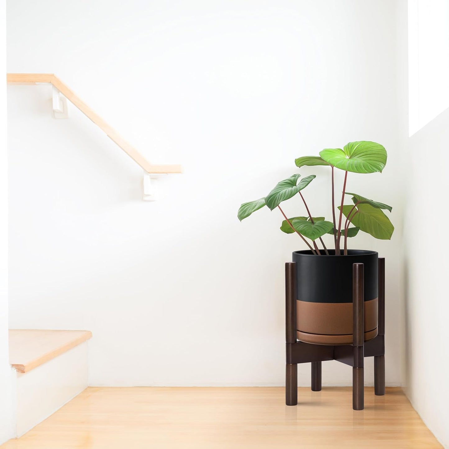 D'vine Dev Ceramic Planter with Walnut Color Stand - 8 Inch Modern Round Flower Pot with Wood Planter Holder, Black/Speckled Tan, 55-B-Y-7