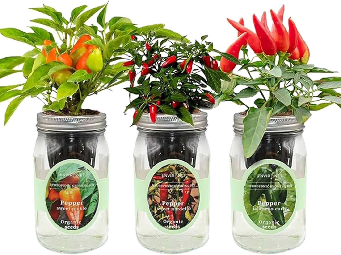 Hydroponic Mason Jar Indoor Garden Organic Seed Starter Kits - Pepper Trio Garden Growing Kits, Gardening Gift (Sweet Nardello Pepper, Jalapeño Early Pepper, Sweet Pickle Pepper)