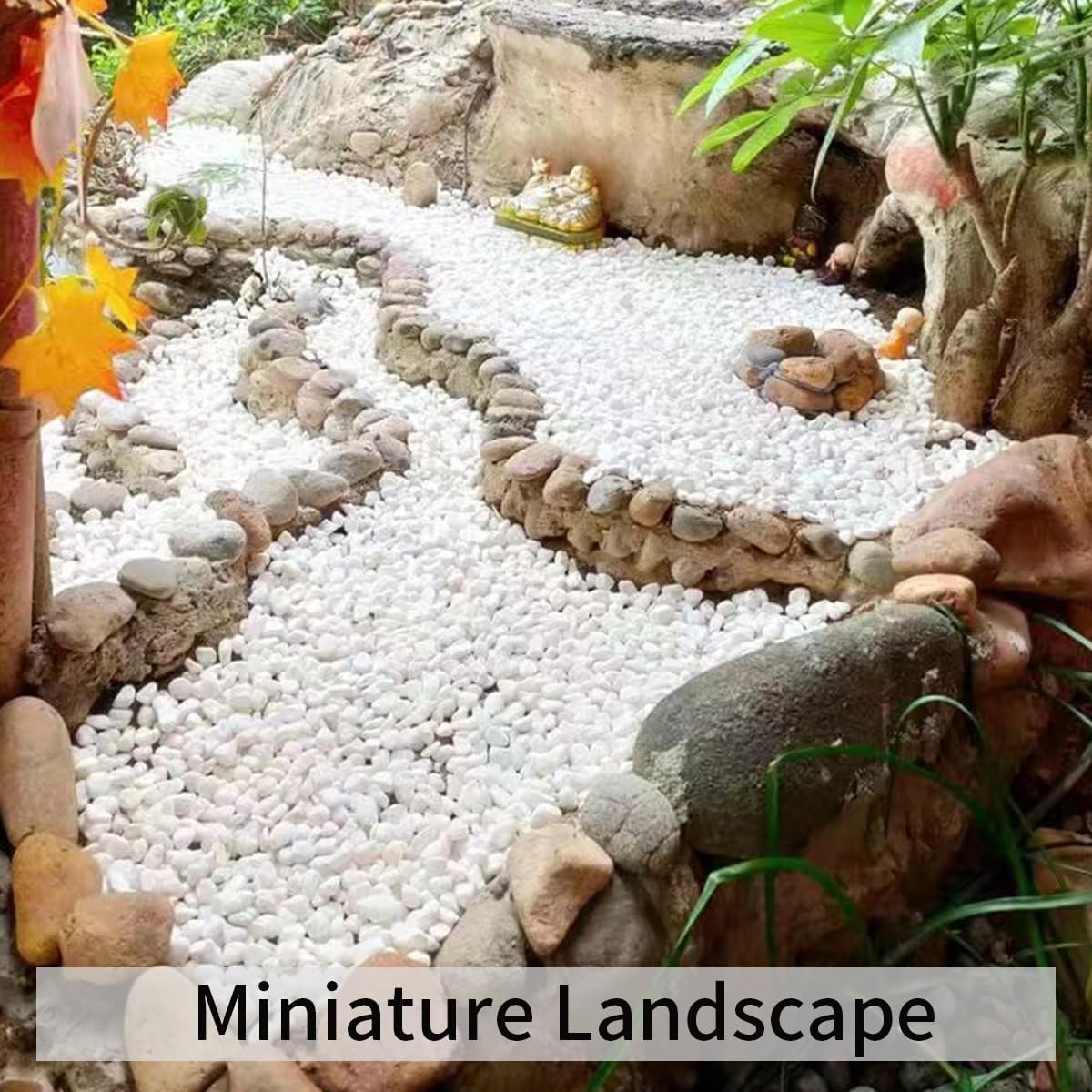 2 lbs White River Rocks for Plants, 3/8 Inch Gravel Pebbles for Plants. Decorative White Stones for Succulents, Cactus, Vase and Outdoor Garden Landscaping