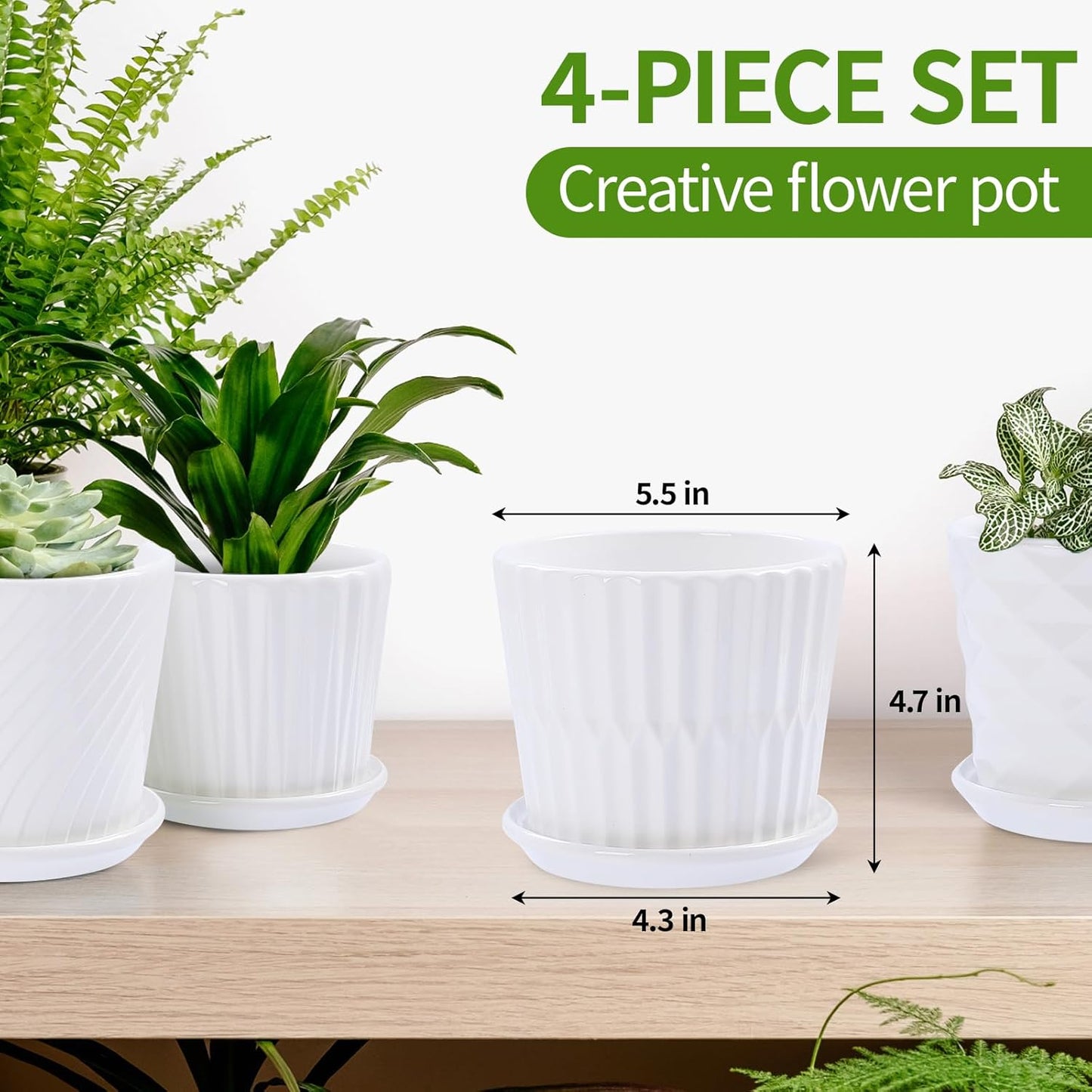 Plant Pots - 5.5 Inch Cylinder Ceramic Planters with Connected Saucer, Pots for Succuelnt and Little Snake Plants, Set of 4, White