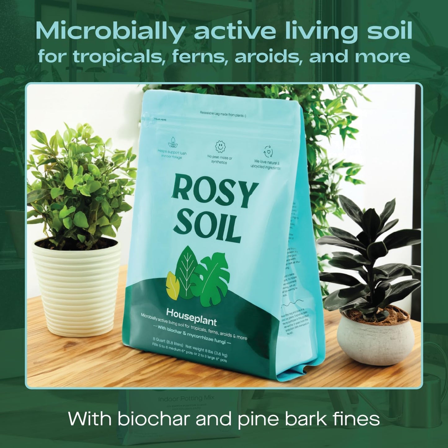 Rosy Soil Indoor Potting Soil for House Plants - Organic Potting Soil Mix for Indoor Plants - Enriched w/Root-Boosting Biochar for Foliage Plants, Flowers, Herbs - Peat Free, Less Prone to Gnats - 8qt