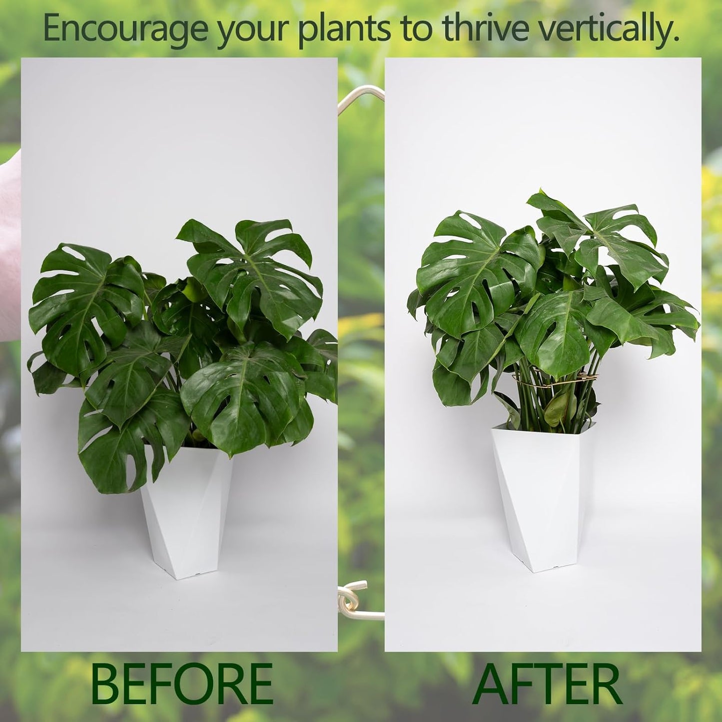 5PCS 11 * 9.4 Inch Monstera Plant Support Stem - Premium Adjustable Leaf Holder & Fishbone Cactus Stake, Durable Gardening Tool for Climbing Plants, Easy Installation & Enhanced Stability